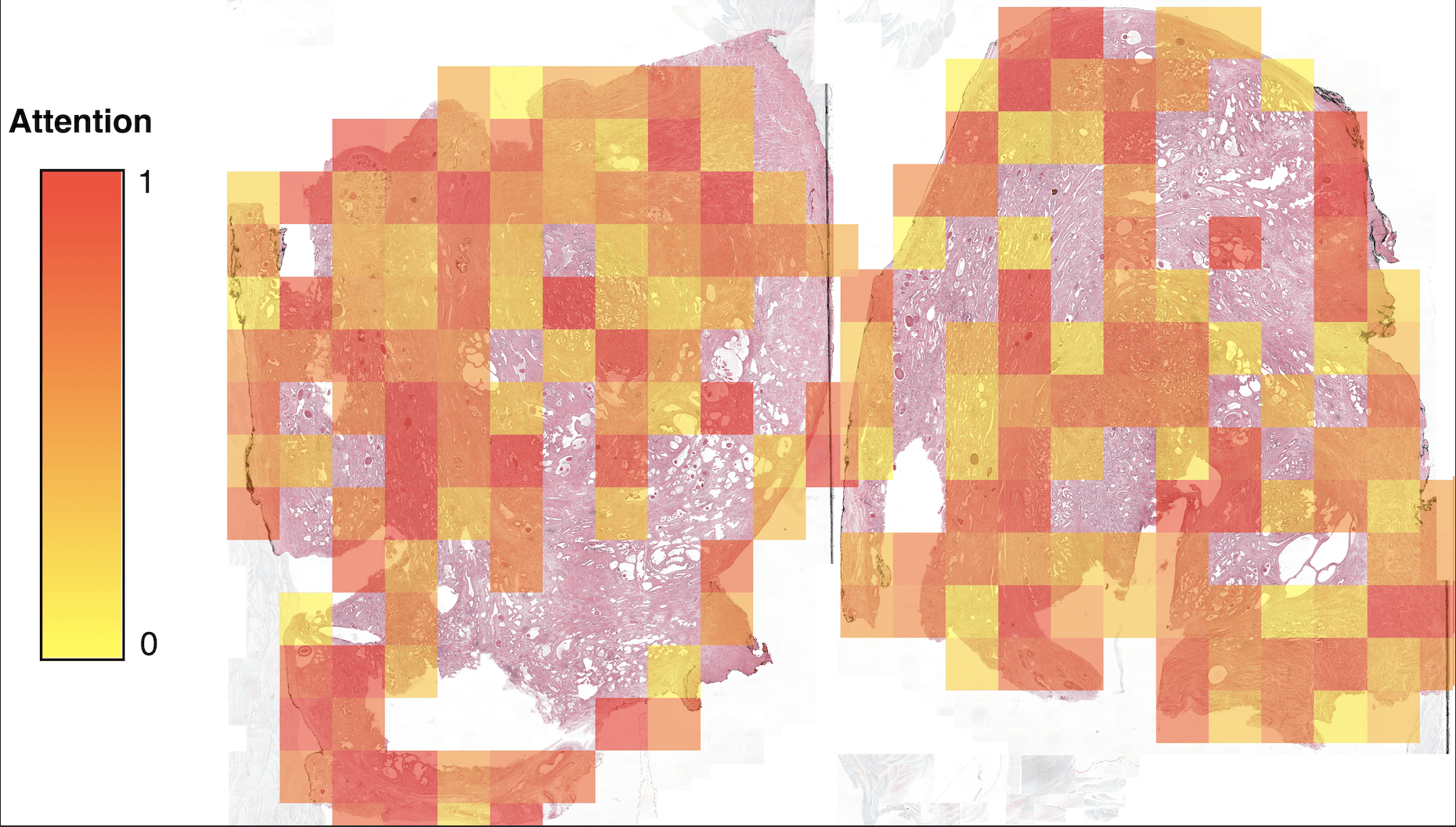 DesignCube - Mobile Screens