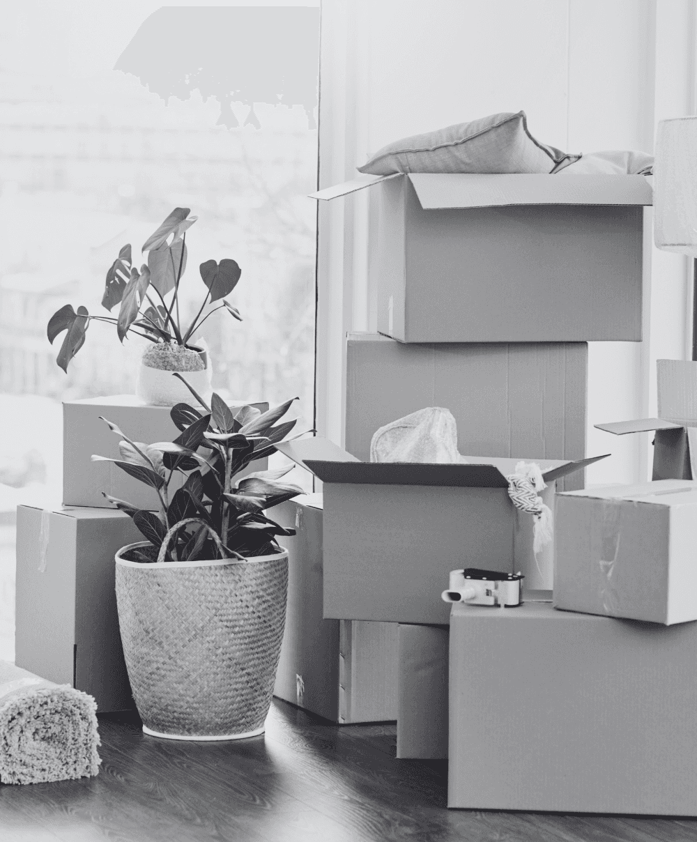 a room filled with stacked moving boxes, some open and others closed, along with a potted plant, a rolled-up rug, and a few scattered items