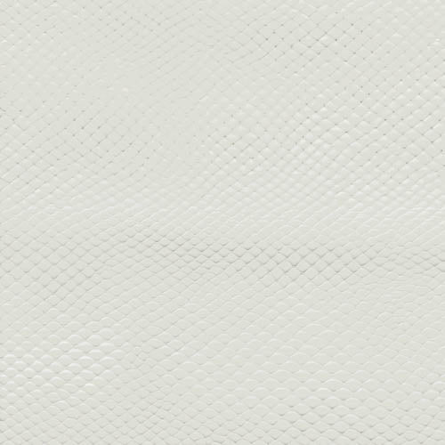 Textured white background with subtle pattern