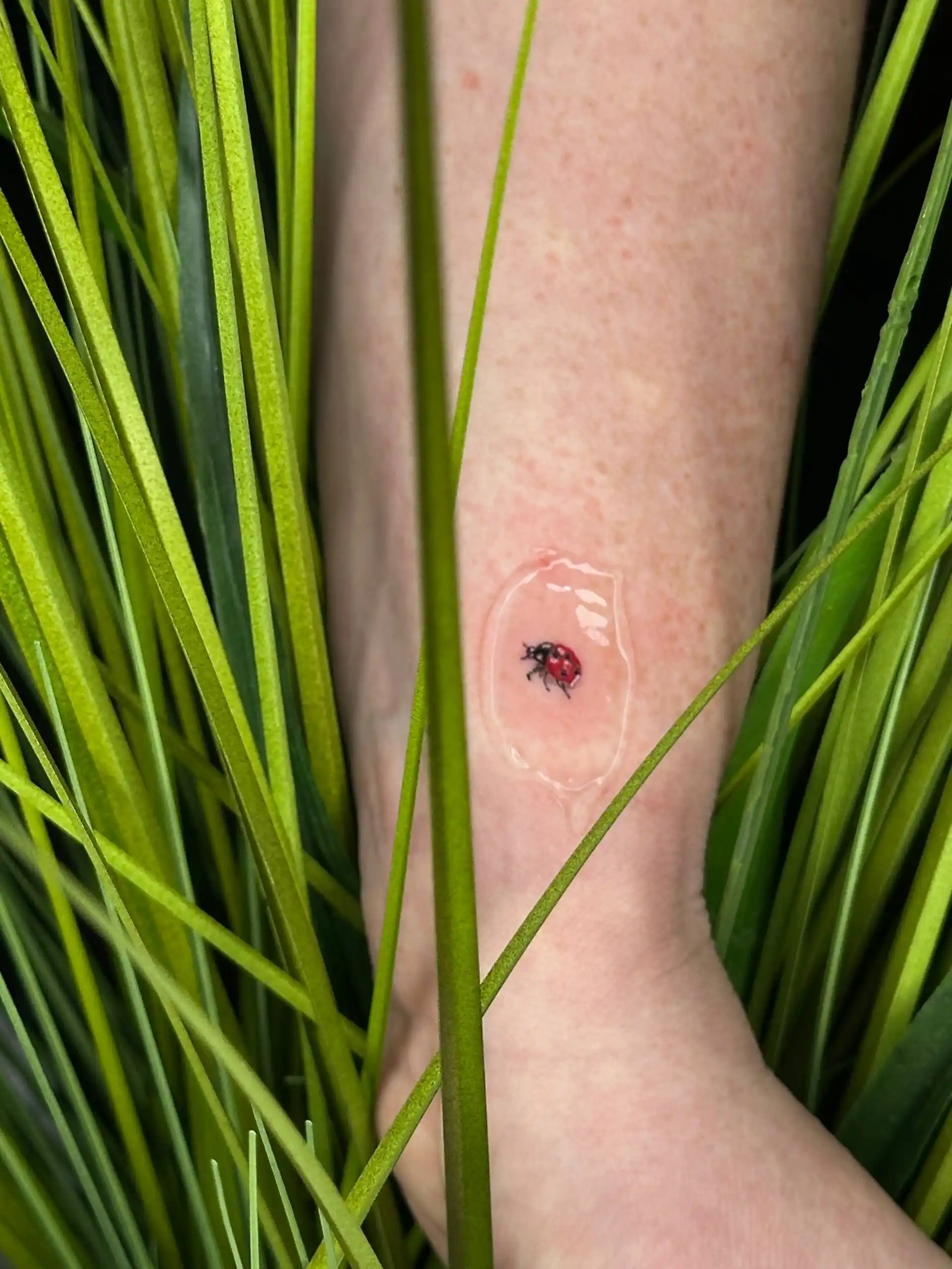 Tiny minimalist ladybug tattoo on the ankle, featuring a delicate, simple design by Nova by Ana in Centennial, Colorado.