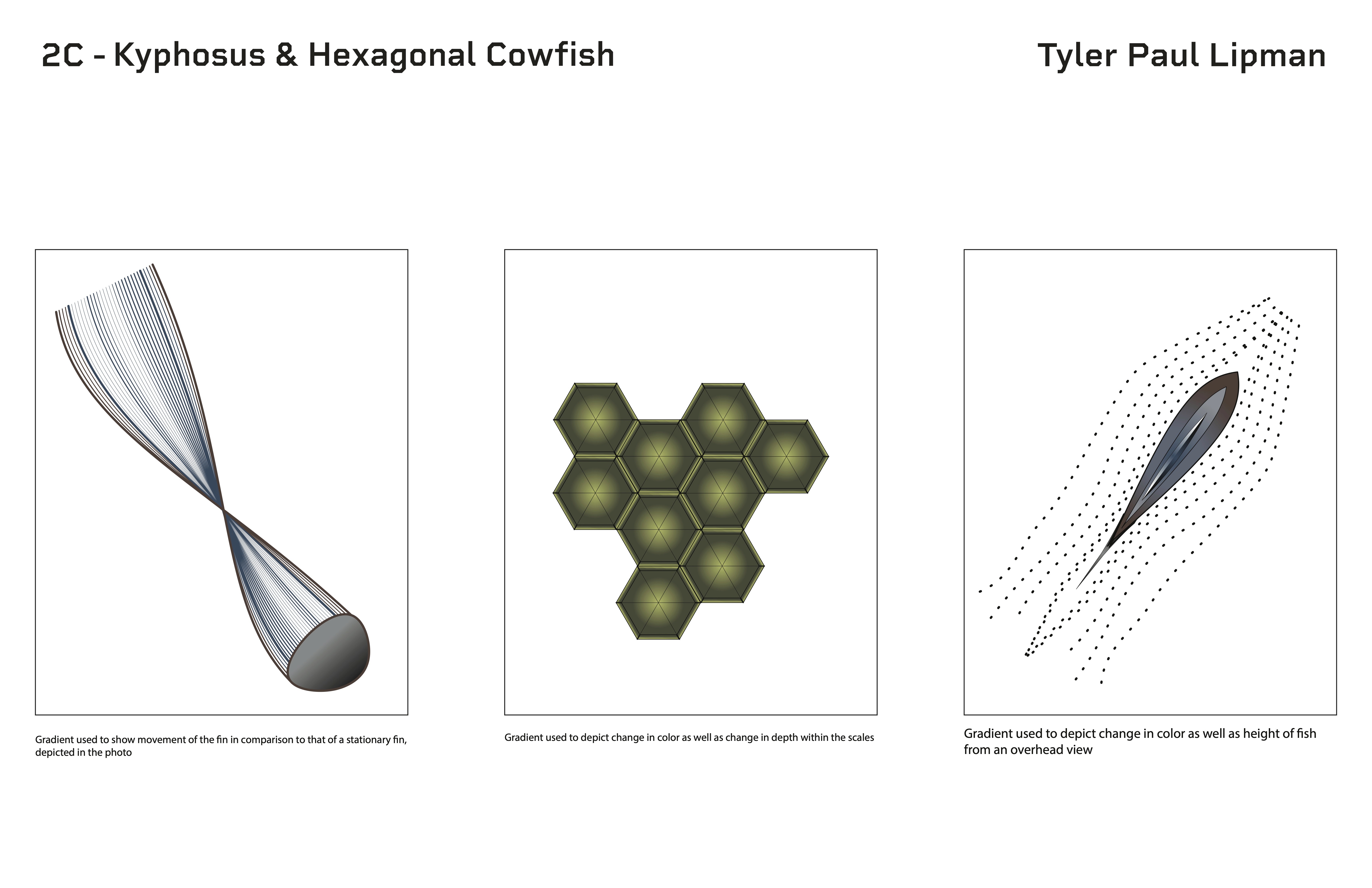 A user shares valuable insights and experiences with fellow entrepreneurs through Bizz Buzz's industry-specific groups.