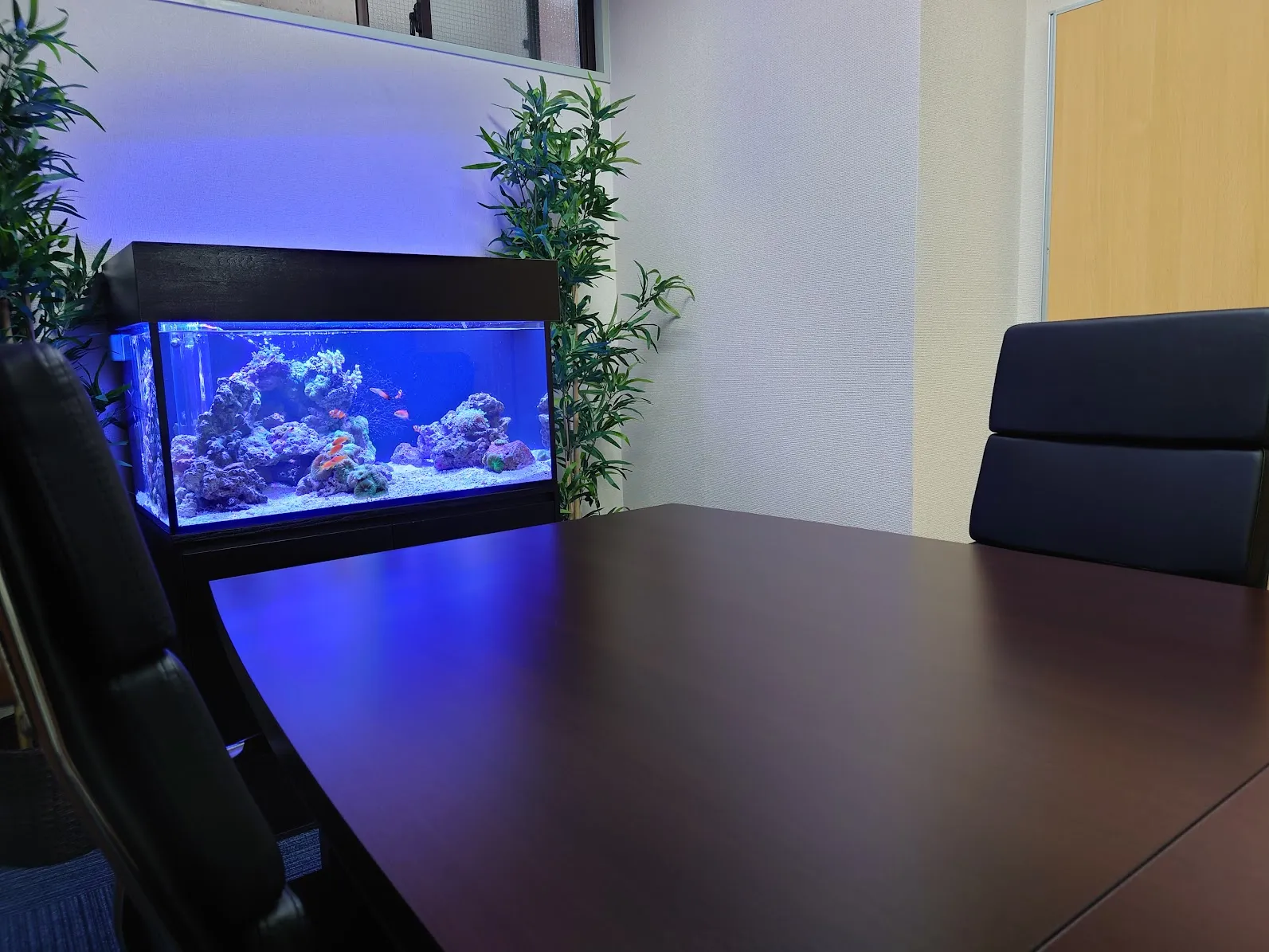 会議室のテーブル横に設置された中型海水水槽で、岩組みとカラフルな魚が落ち着いた空間を演出している