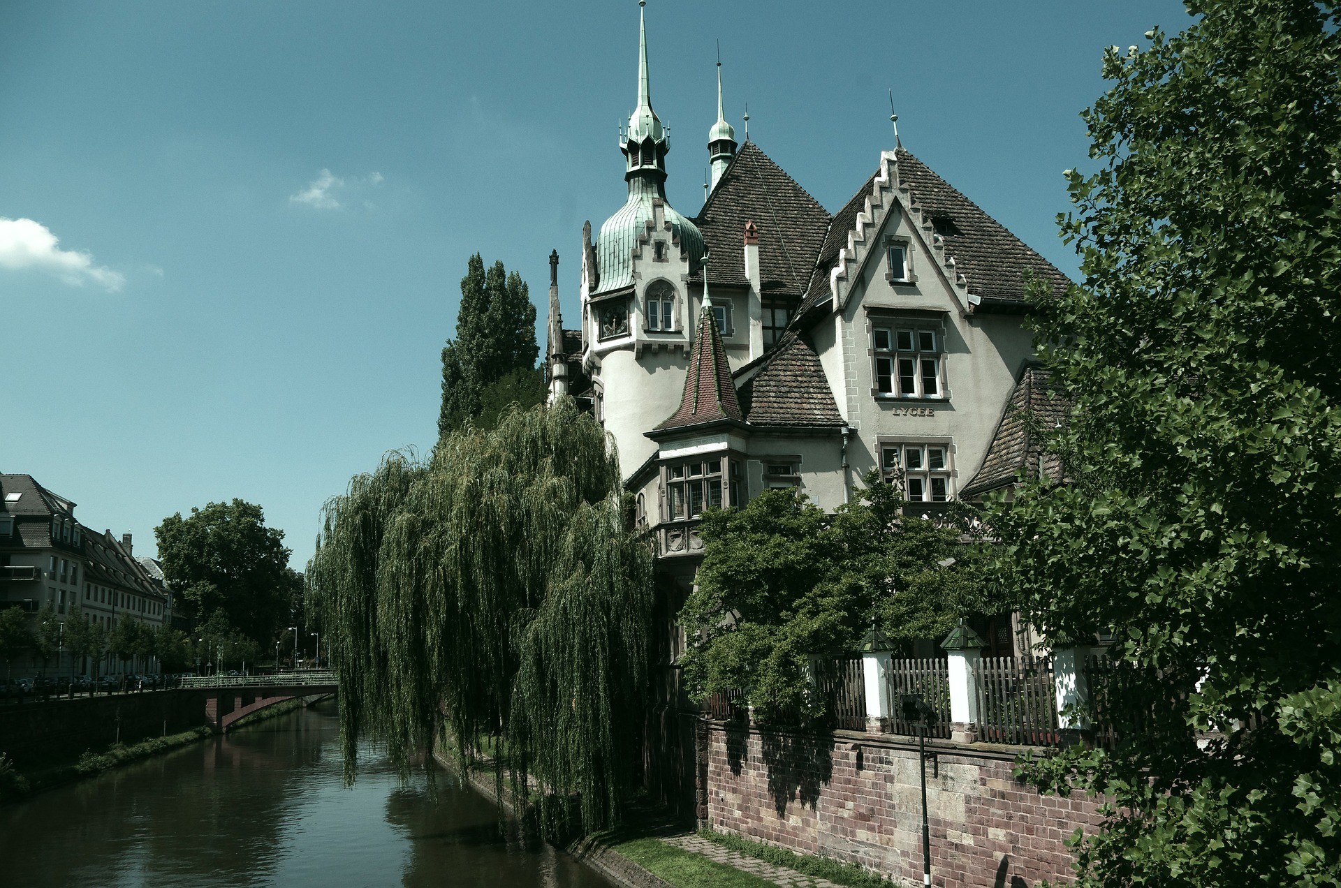 baumpflege Offenburg 