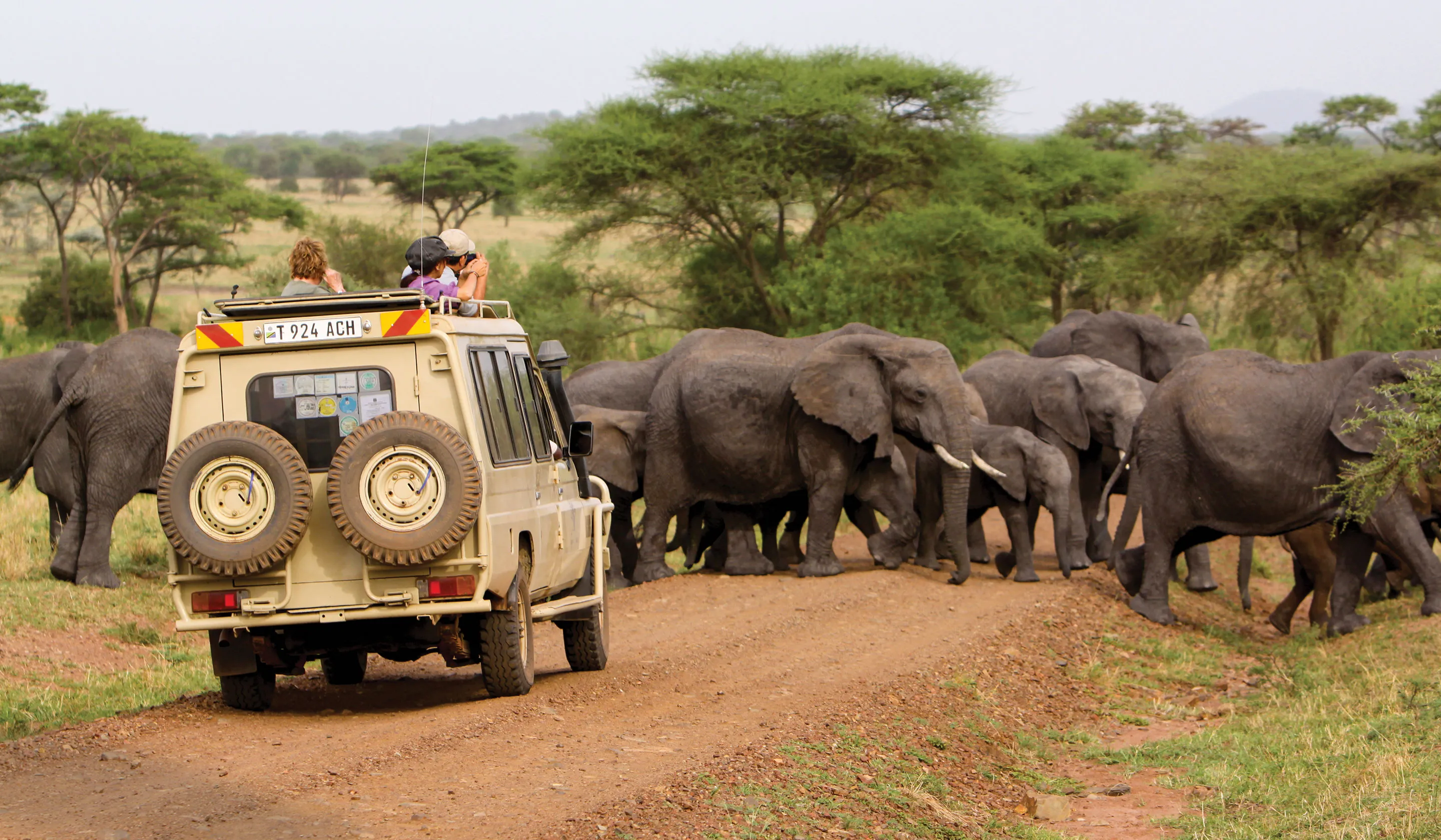 Grand Family Safari in Tanzania