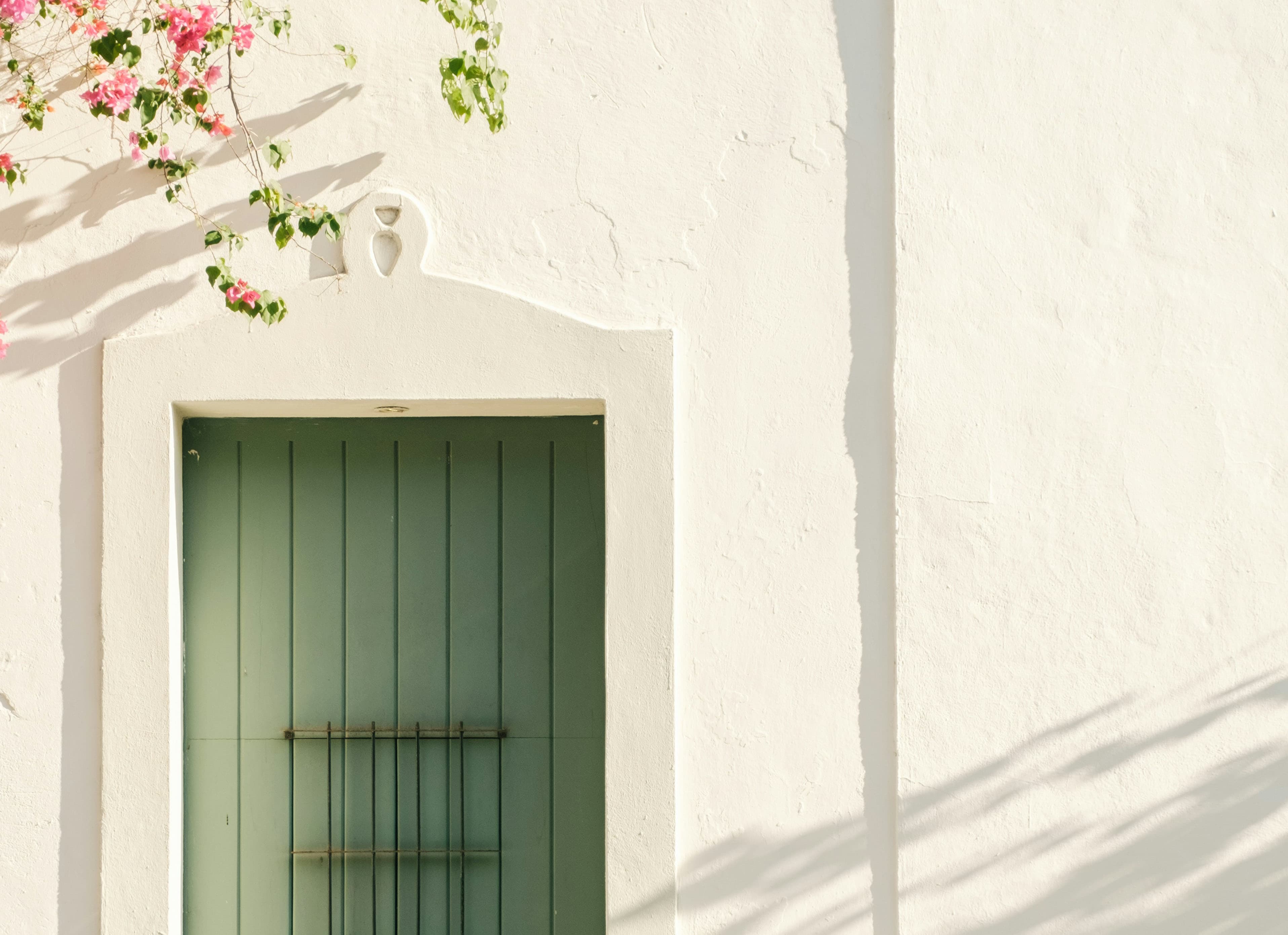 A green wooden door in a white stucco wall, with pink bougainvillea and dappled shadows.