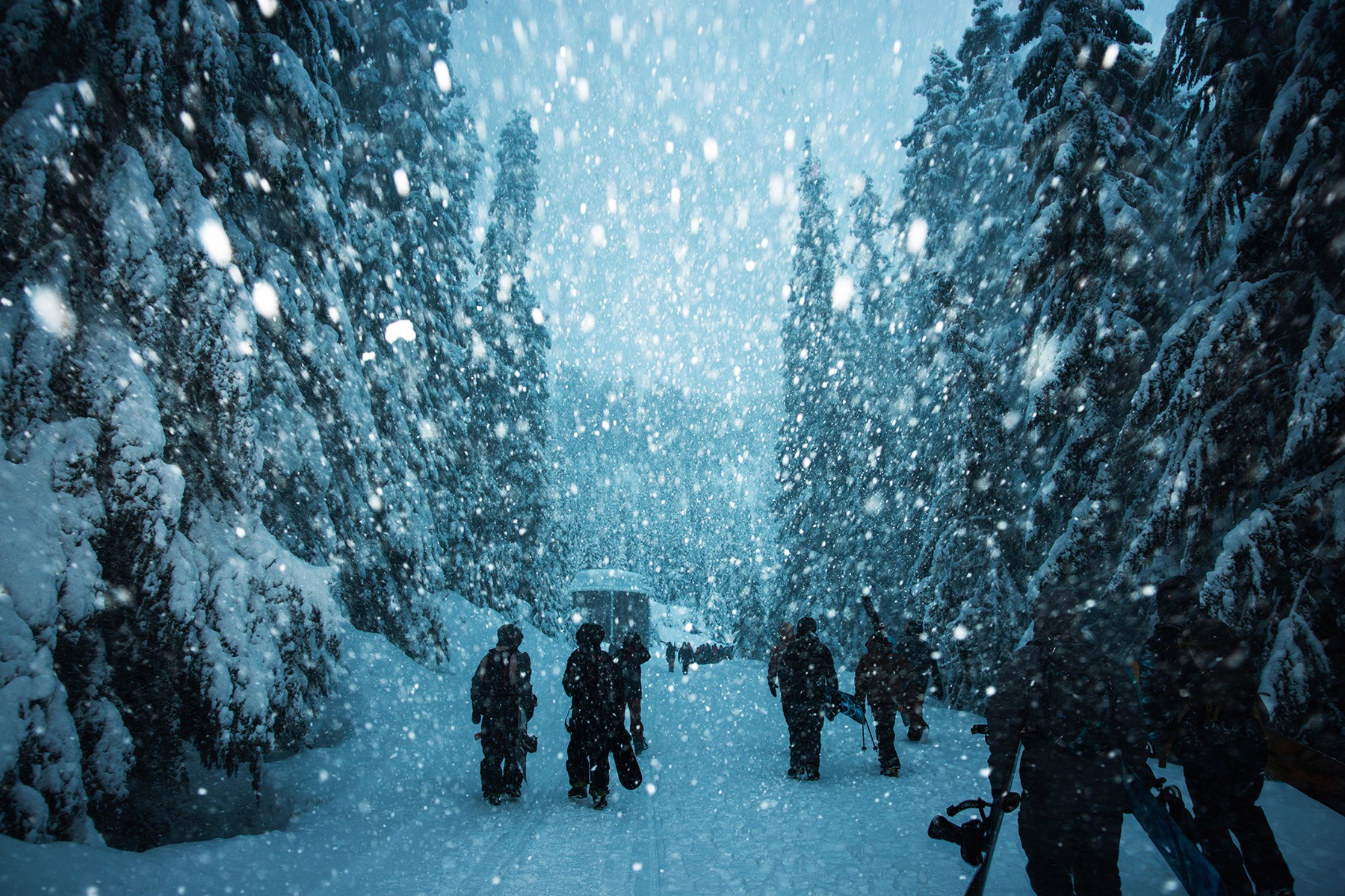 Skiers and snowboarders at Mt Baker