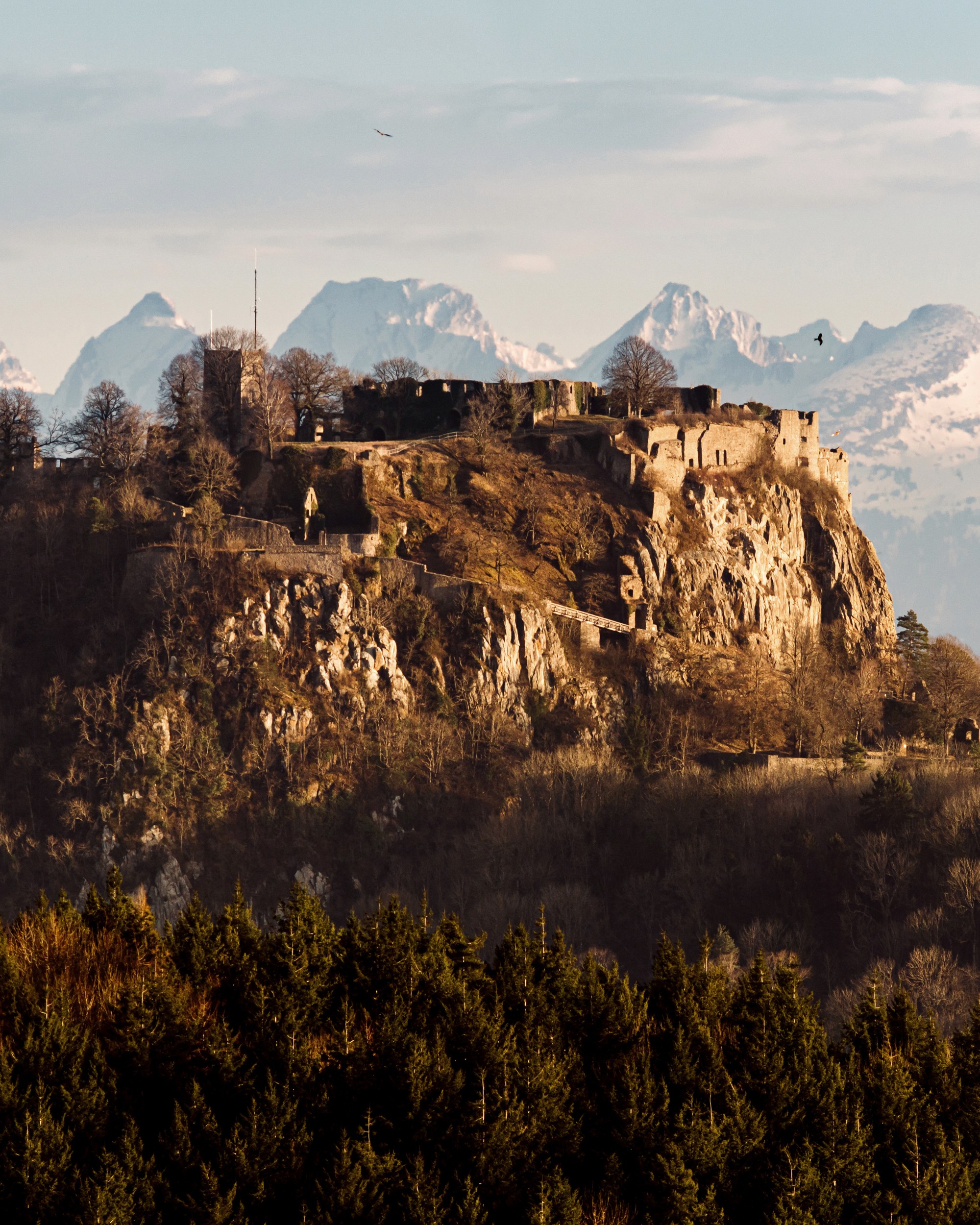 Individuelle Weinwanderung