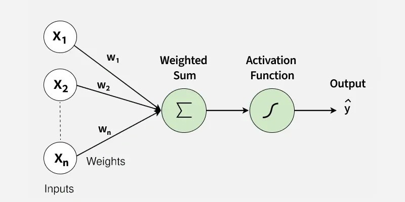 Perceptron: The Simplest Neural Network