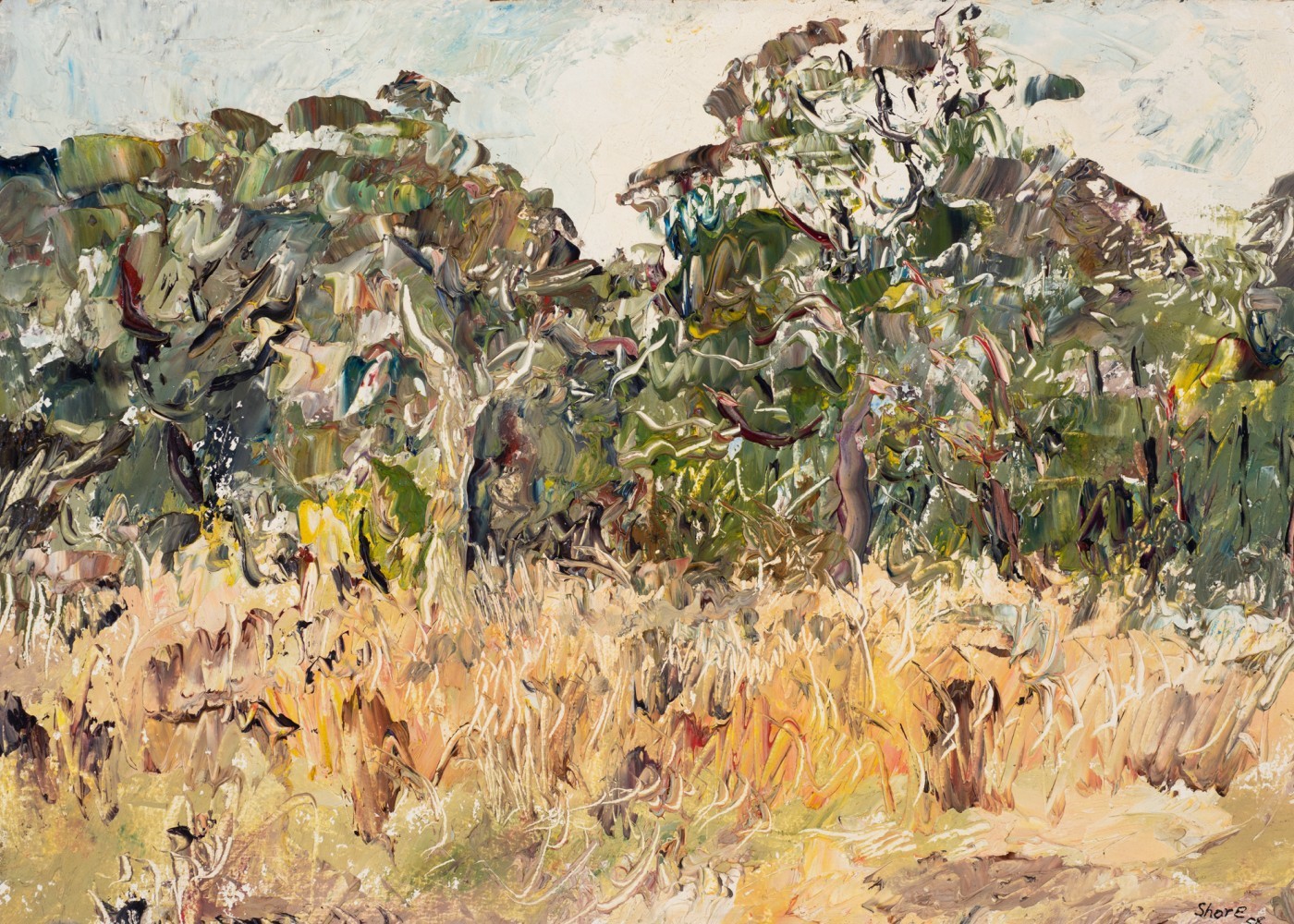 Alvin Darcy & Brodie Ellis, Where Stone Meets Sky, 2024, Installation detail, MADA Gallery, Monash University.