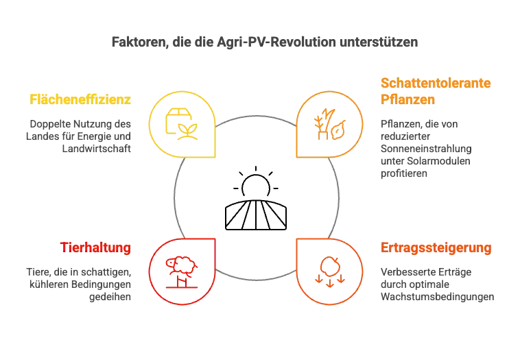 Faktore, die die Agri-PV Revolution unterstützen