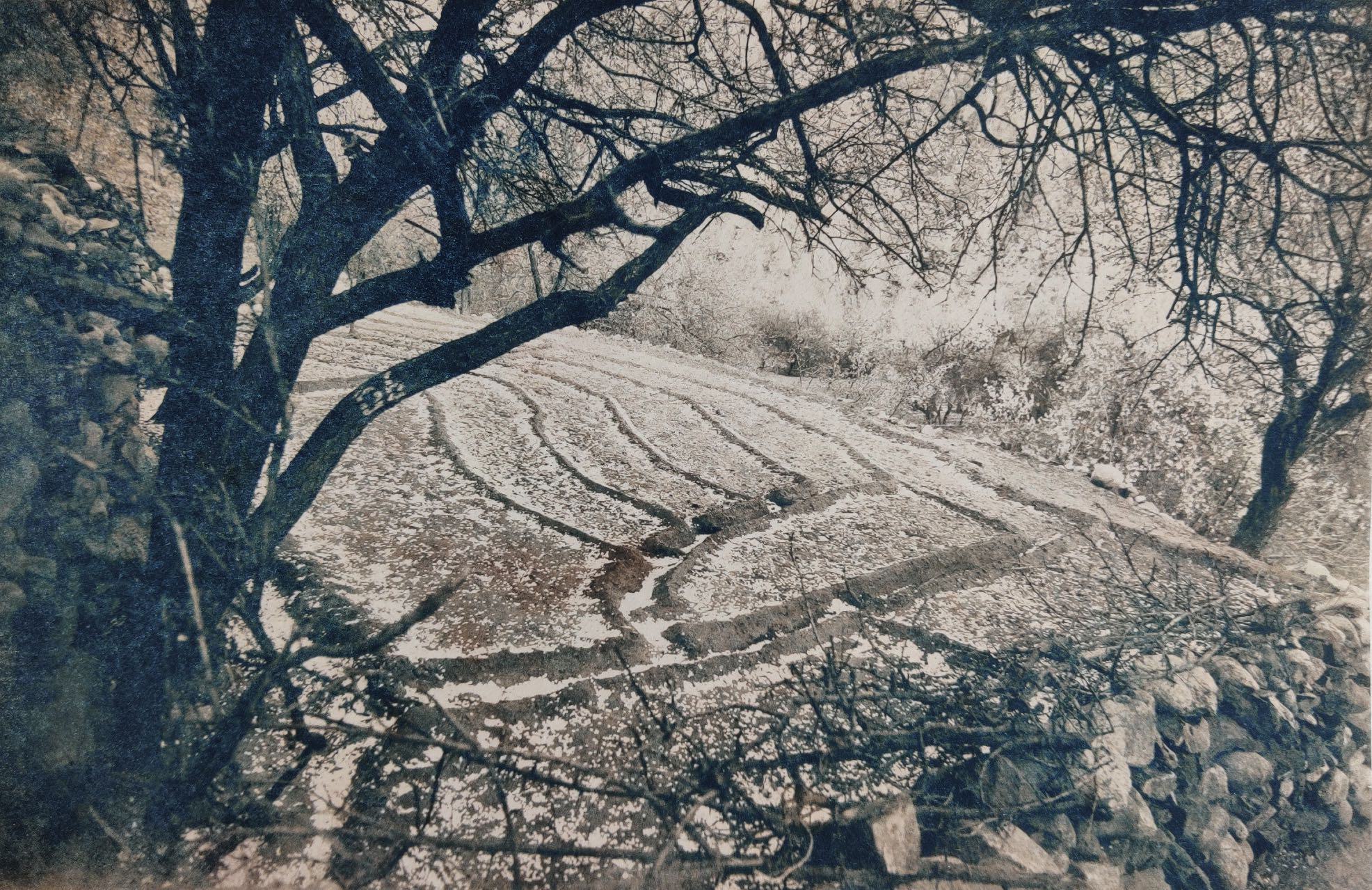 herd of sheep on road painting