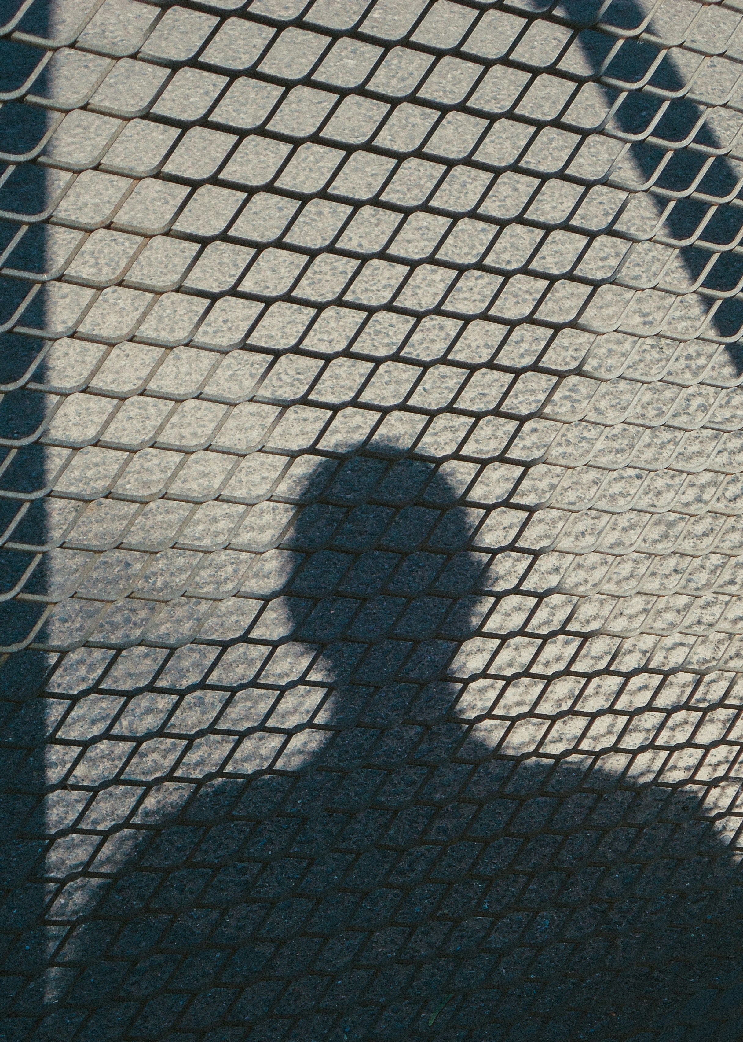 Siluetas de personas tras una valla.