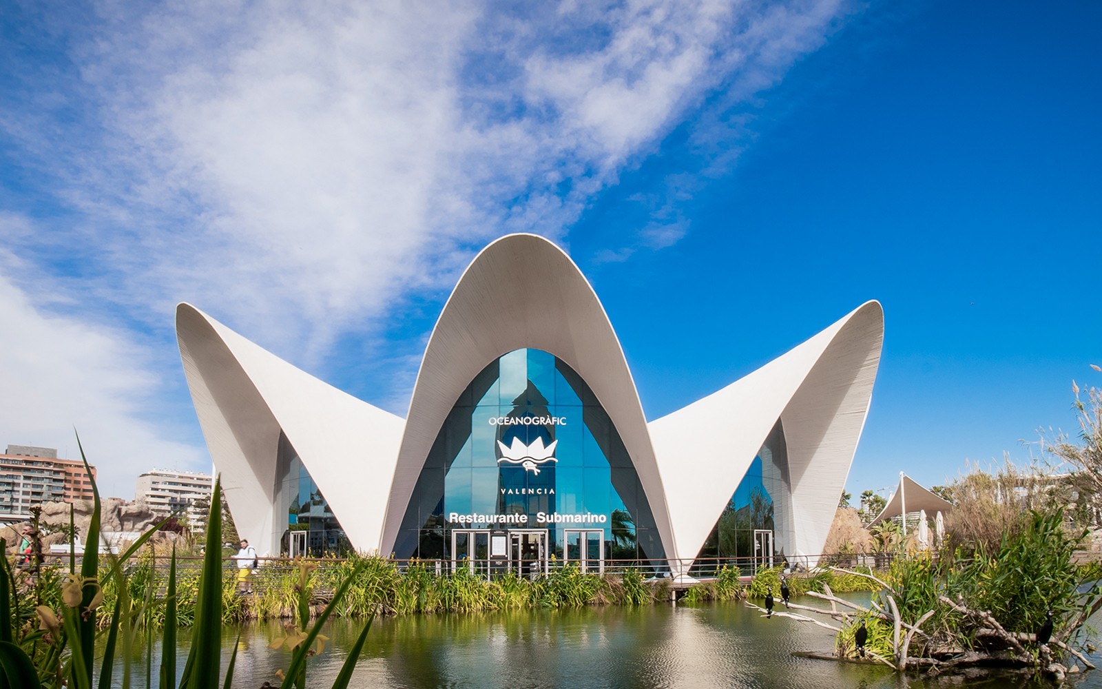 Oceanogràfic Valencia entrance with unique architecture and surrounding pond.