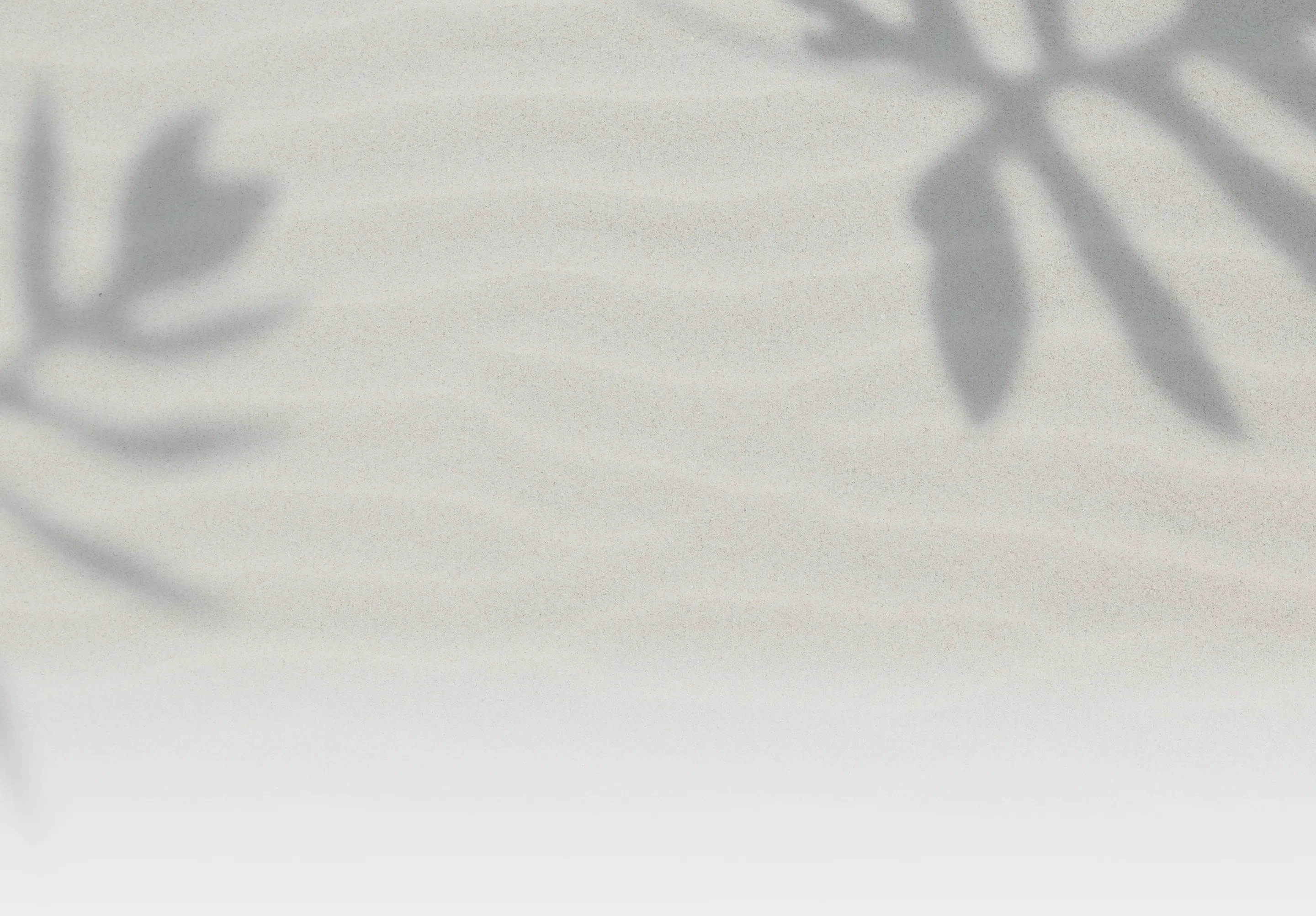 background beach sand