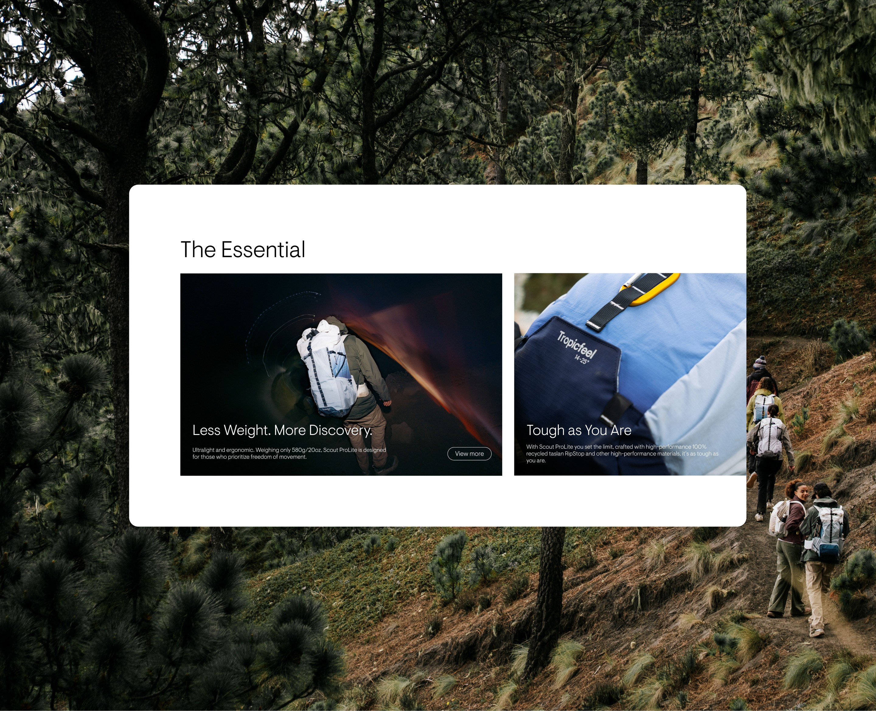 The essential features