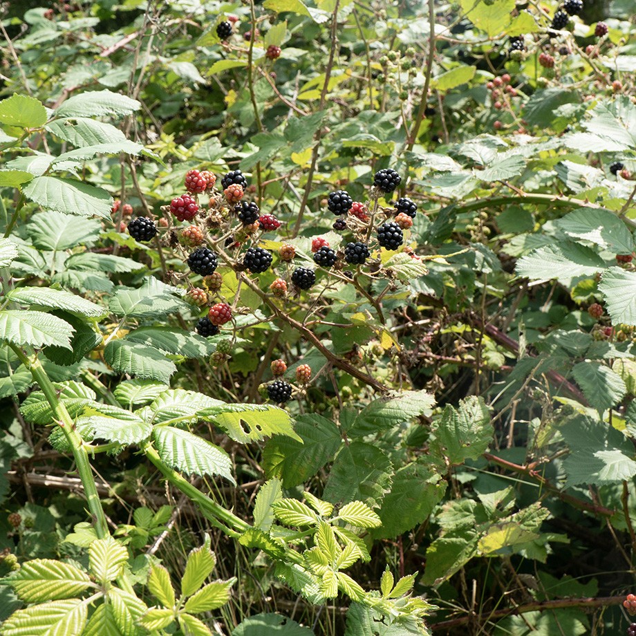 The image featured in the carousel #3