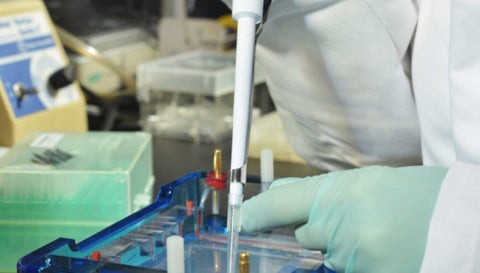 ph and protein purification