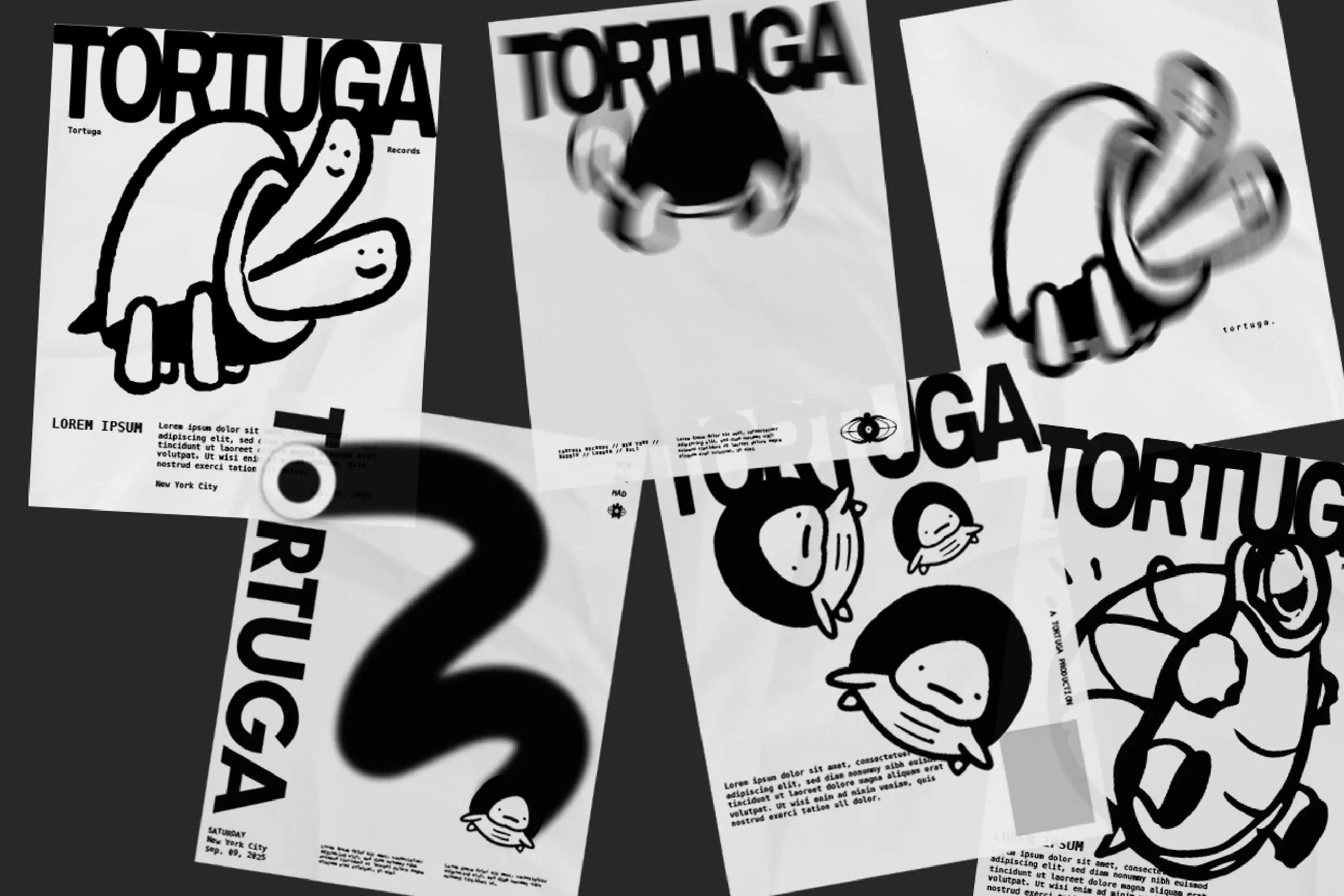 Poster design explorations arranged at varying angles, featuring turtle illustrations and experimental typography for Tortuga Records.