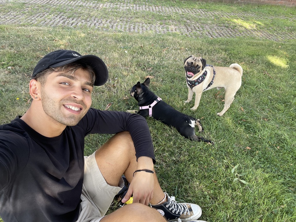 A person smiles while sitting on grass with two dogs; one black-and-white dog relaxing and one fawn pug standing, both adorned with harnesses and enjoying the outdoors, capturing a moment of leisurely dog walks and companionship.
