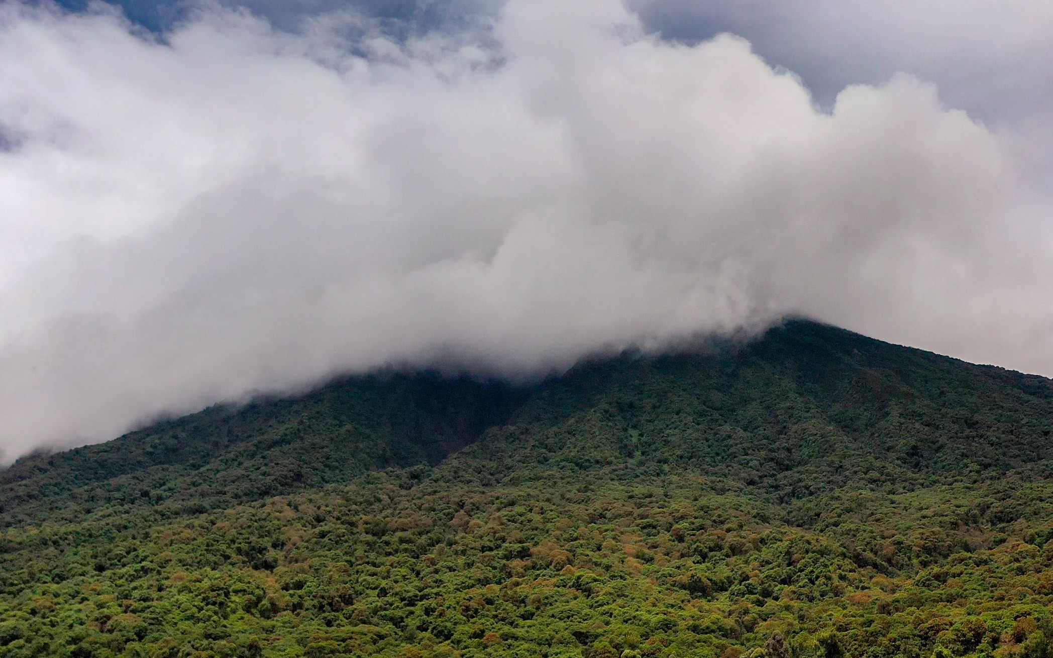Thick mist rolls in and collides with the peaks of the Virunga ranges.
