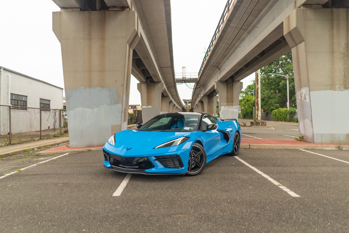 Blue Flower