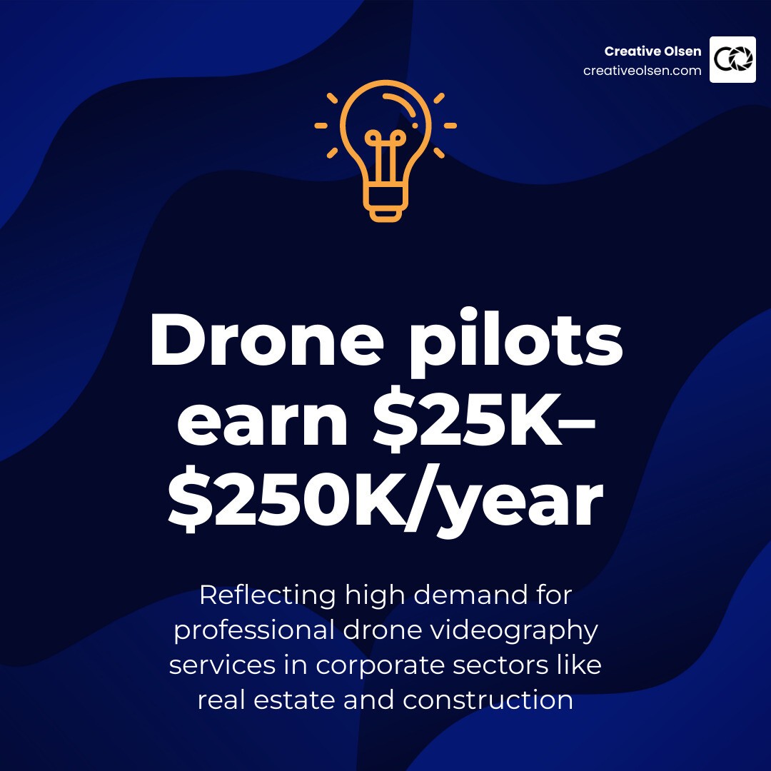 Infographic showing drone videography statistics and earnings infographic