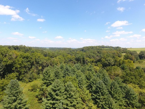 Photo 8 of 26.75 +/- acres Nels Road, Highland