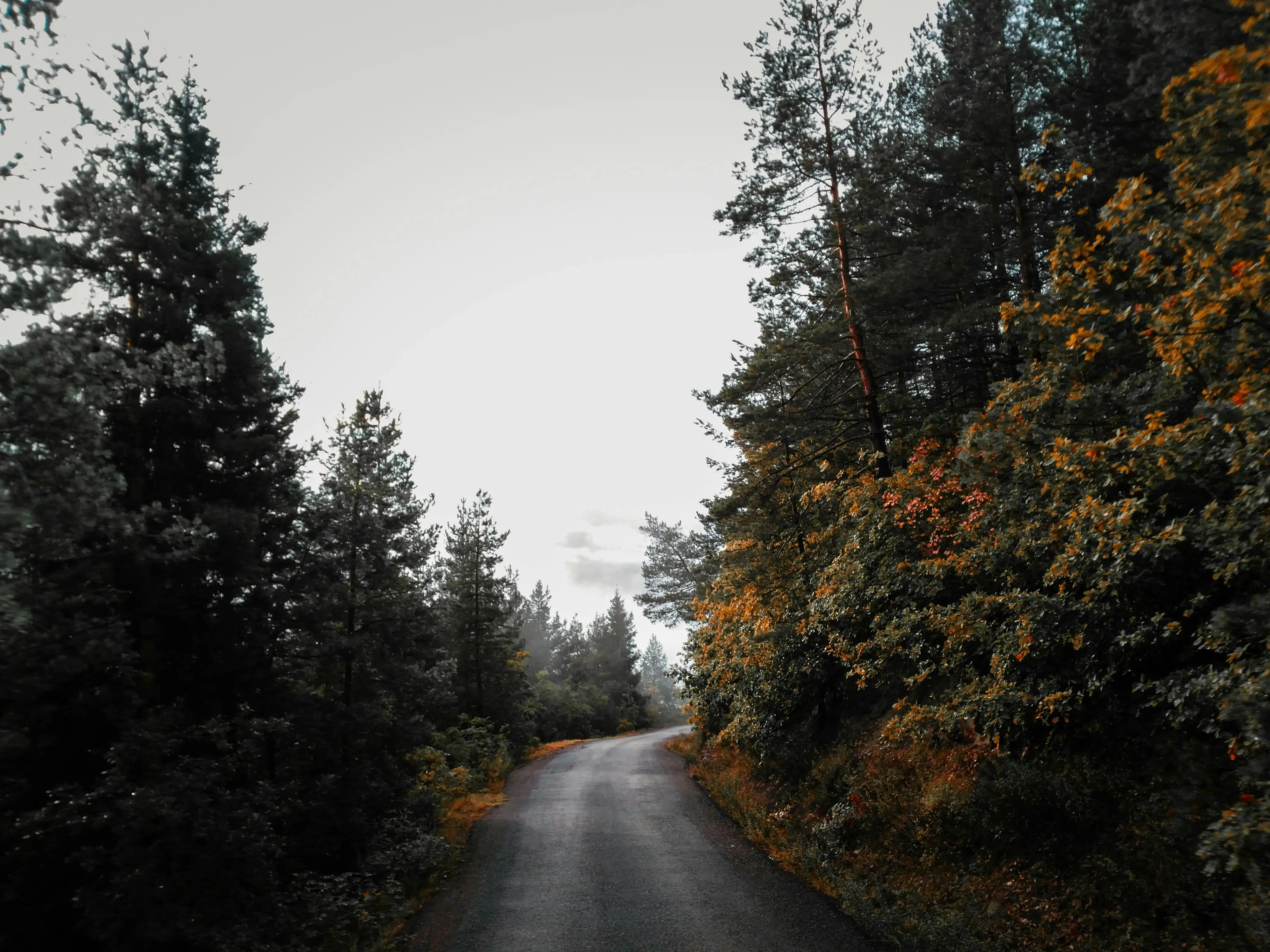 Camion de déménagement sur route nationale longue distance