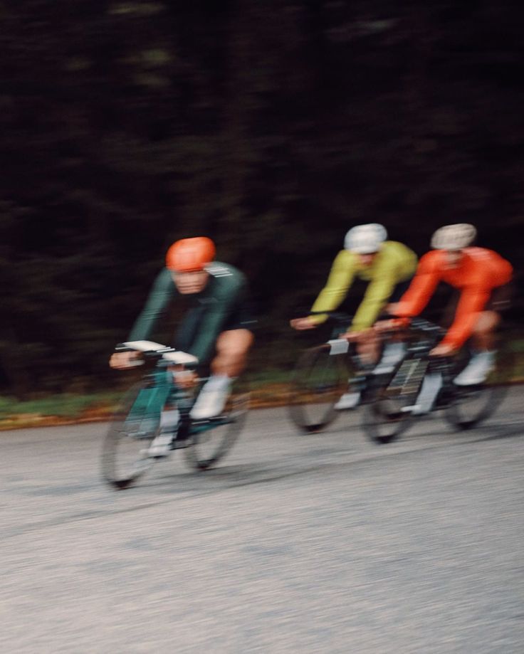 Cyclists in the forrest