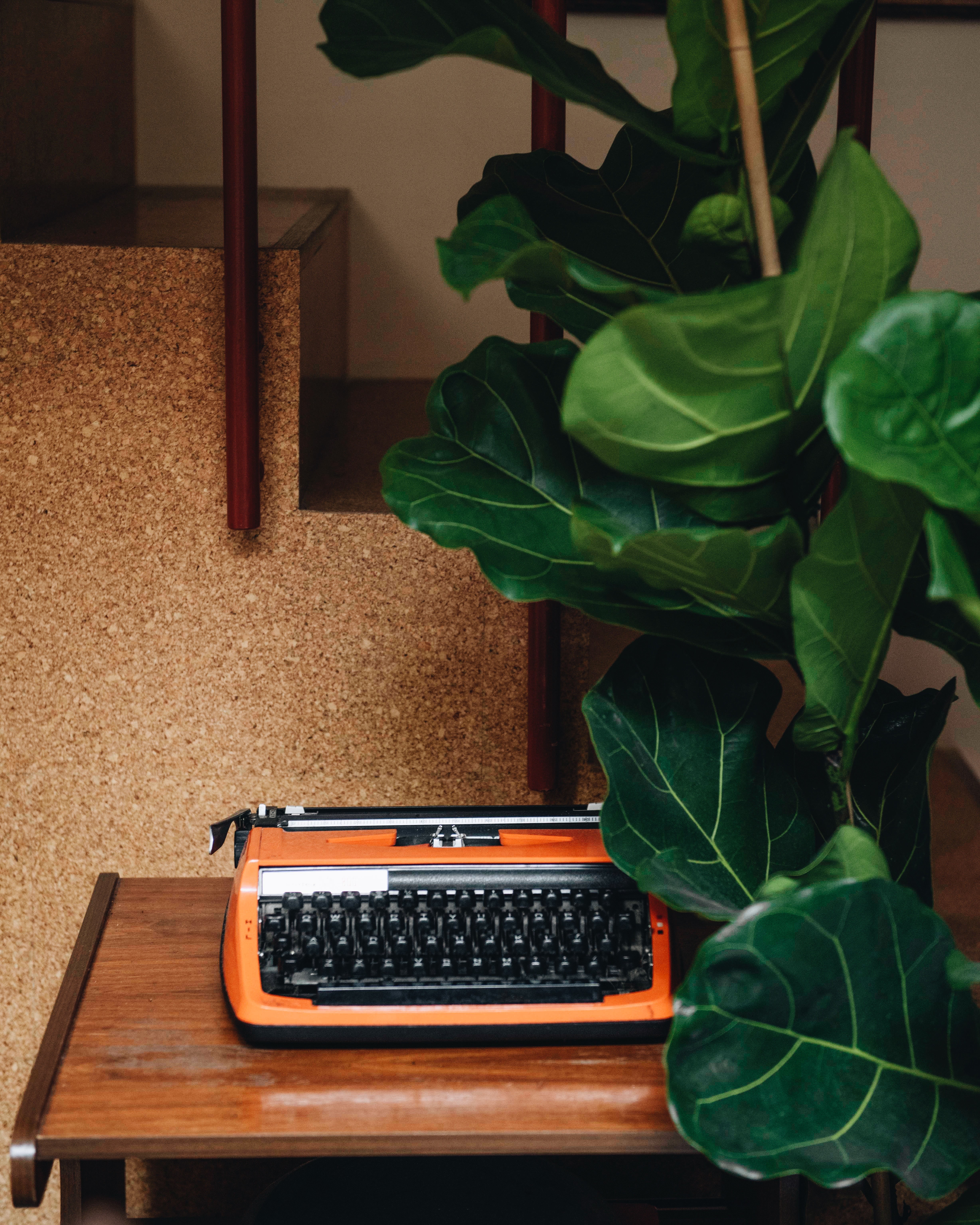 Vintage typewriter and cork wall — second-hand interior decor at Faire Barcelona, Eixample