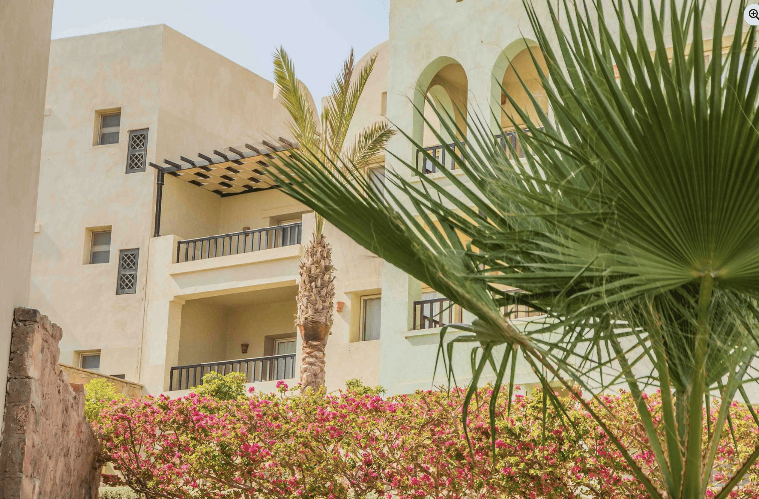 houses surrounded with plants
