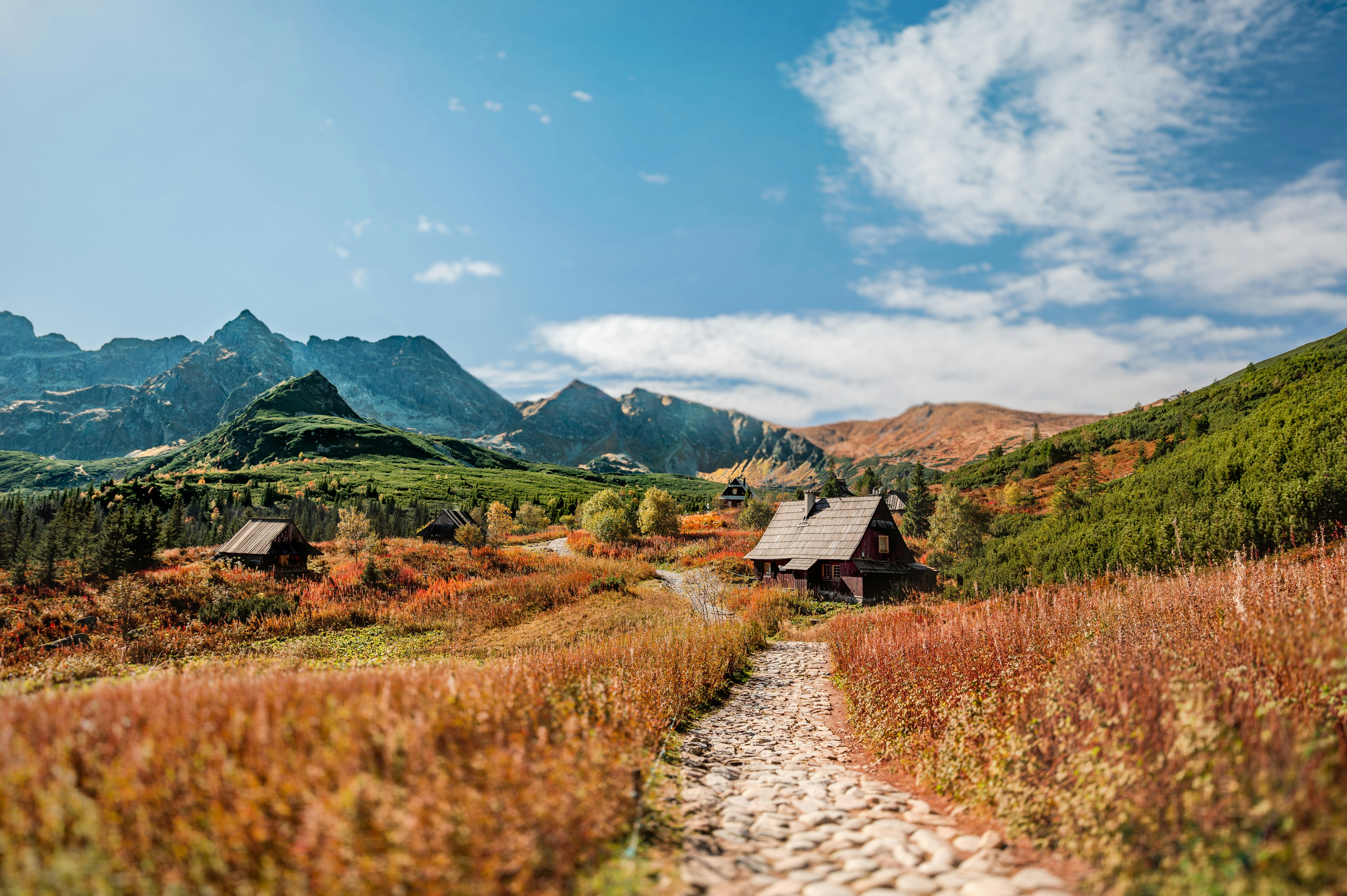 A dirt path in a grassy field with mountains in the background