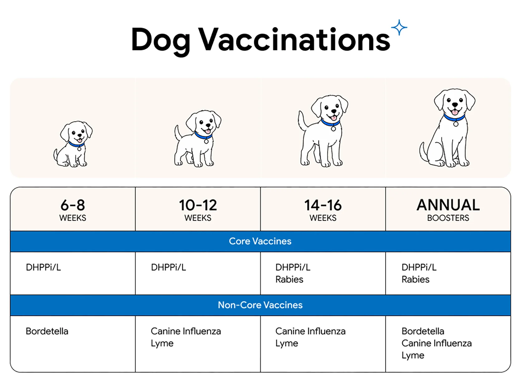 An image displaying the dog vaccination schedule for all life stages.
