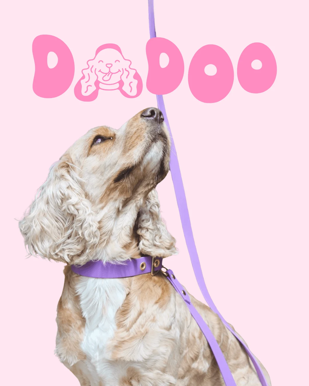 Logo Dadoo réalisé par Coralie De Almeida, marque d'accessoires pour chiens