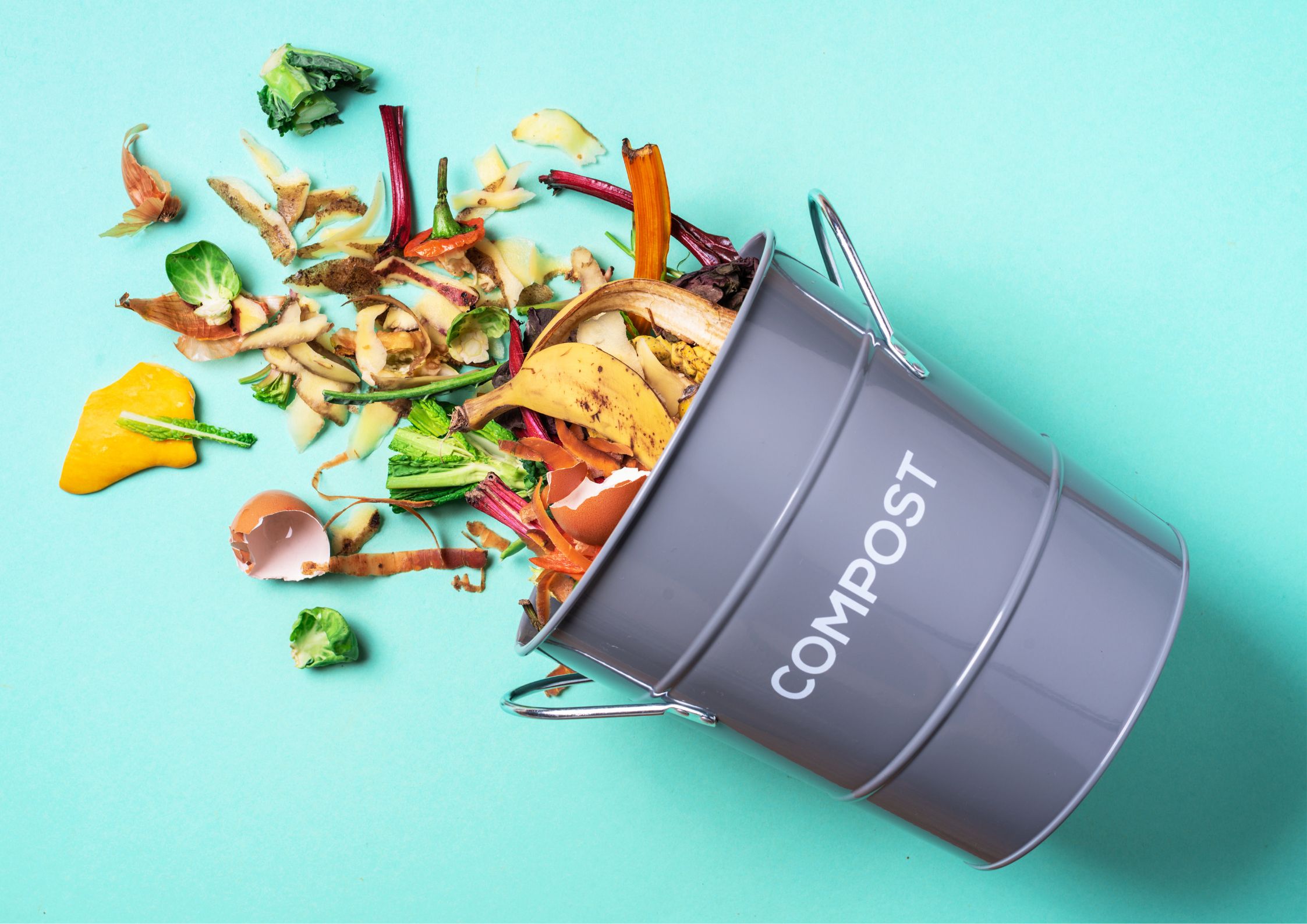 Composter with organic material for compost