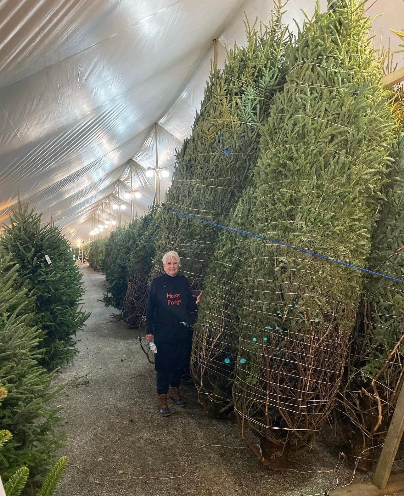 hodge podge team member standing by christmas trees at the hodge podge tree lot