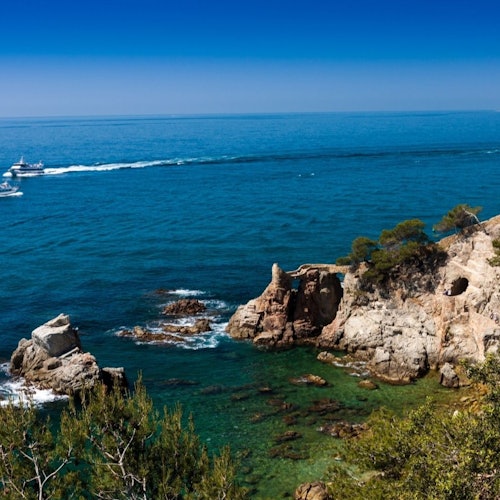 托萨和洛雷特德马尔