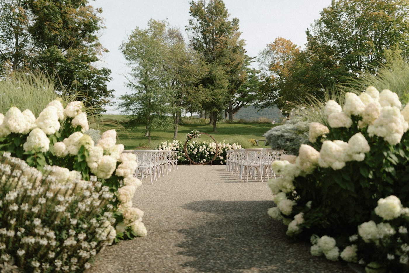 White hydrangeas either side of a gravel path, chairs set out on the lawn