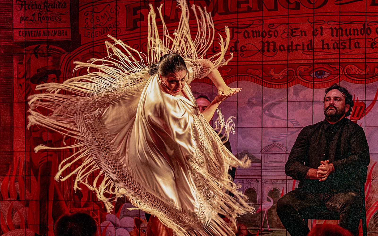 Flamenco dancer performing with shawl at Flamenco De Leones Show.