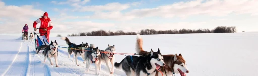 Hundesledetur på Hardangervidda, 3 dager