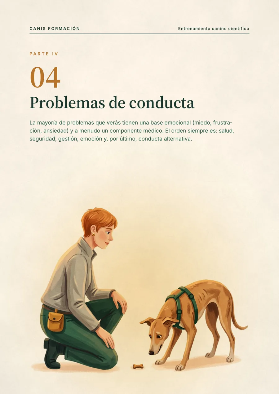 Portada de la Parte IV: Problemas de conducta