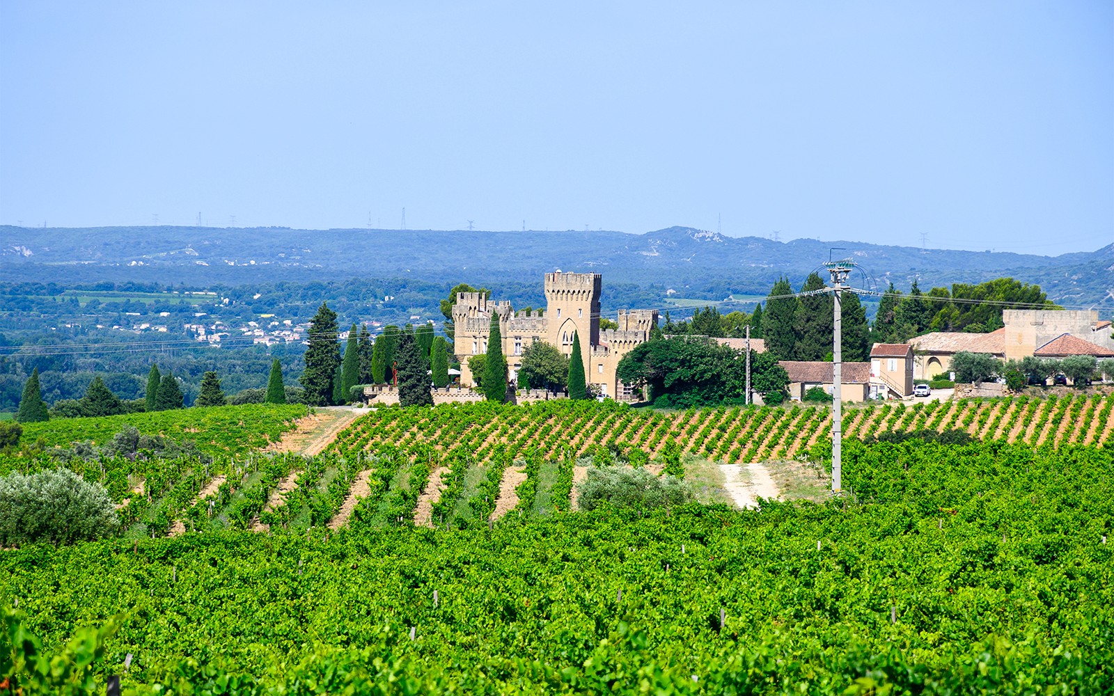 Vineyards and historic castle in Chateauneuf du Pape, France, on a sunny day.