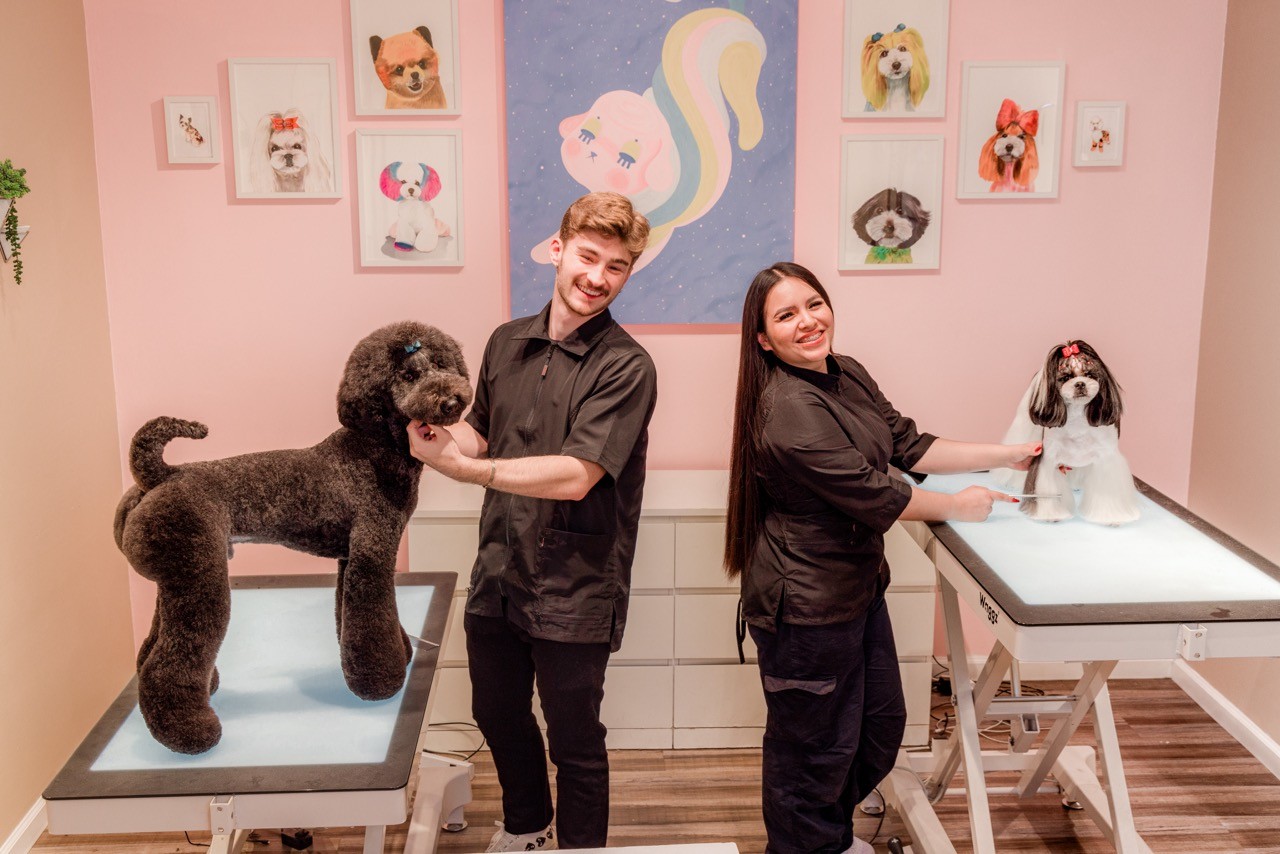 Vibrant interior of a colorful grooming salon with orange and magenta walls to showcase creativity, warmth, and welcoming energy.