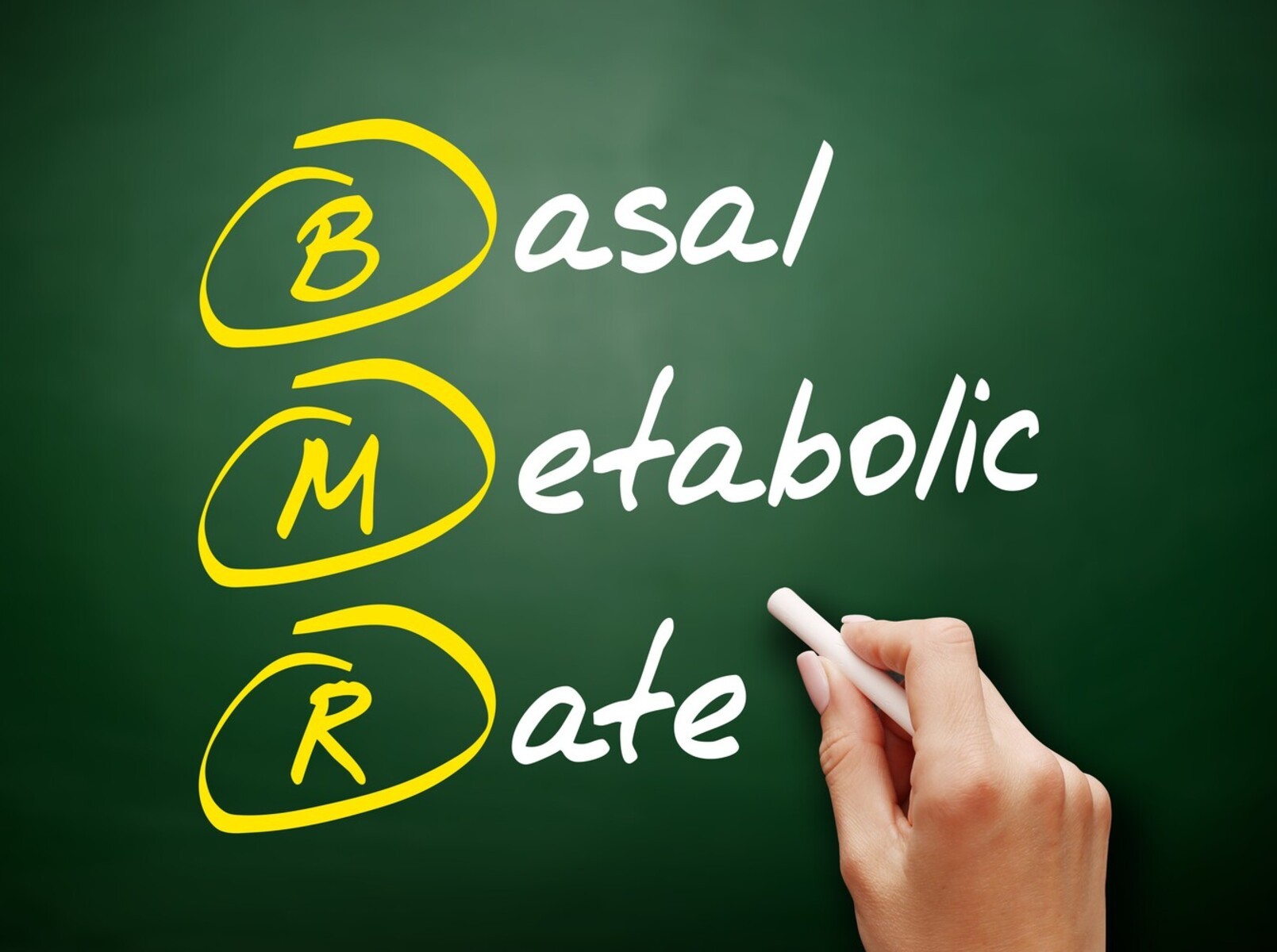 counting macros for weight loss
