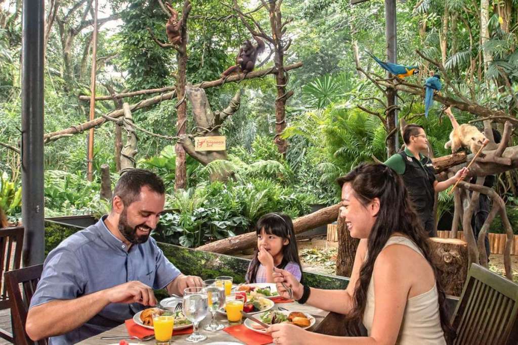 Breakfast in the wild, Mandai Wildlife Reserve