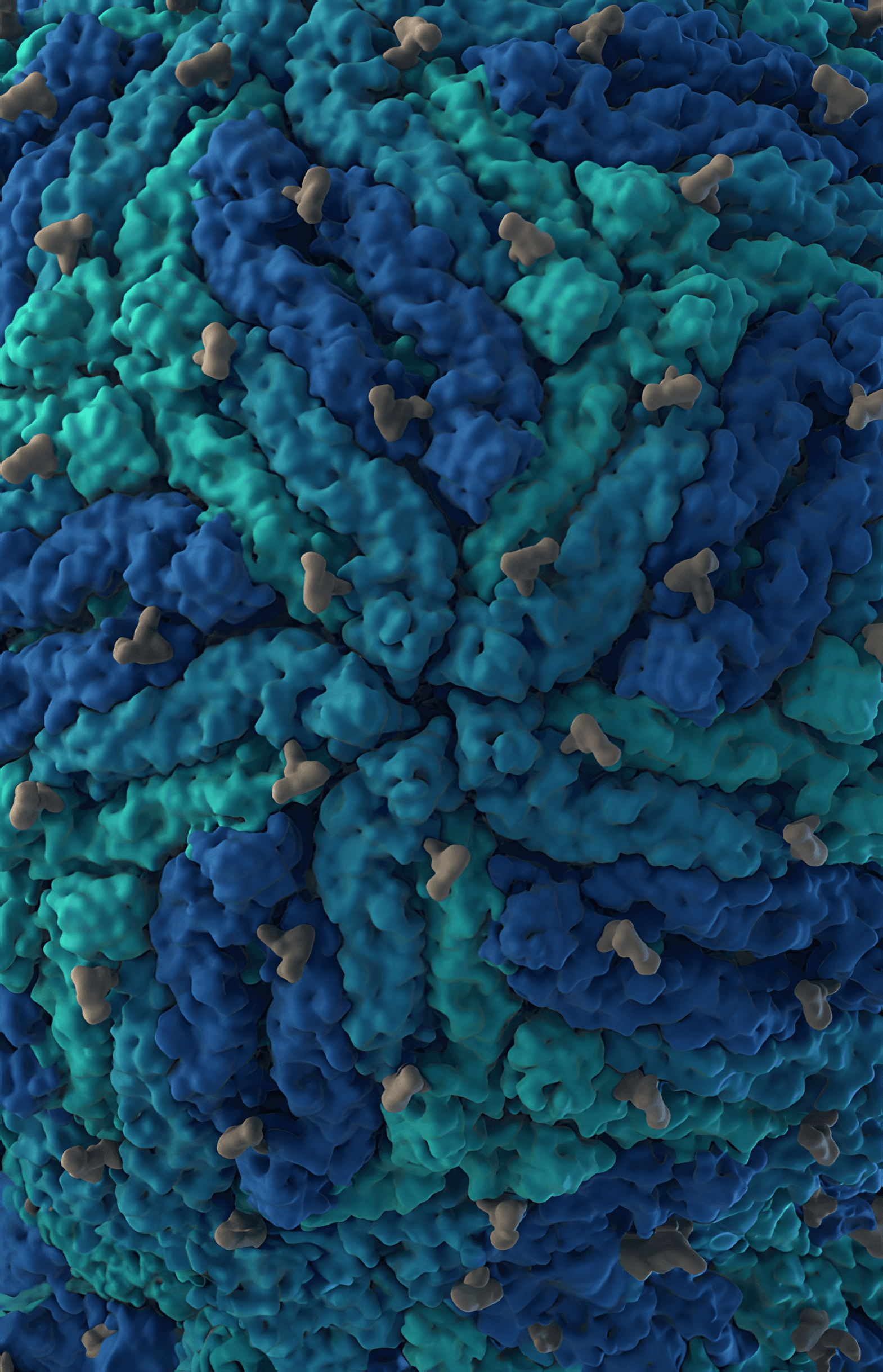 Lipid envelope with E and M proteins