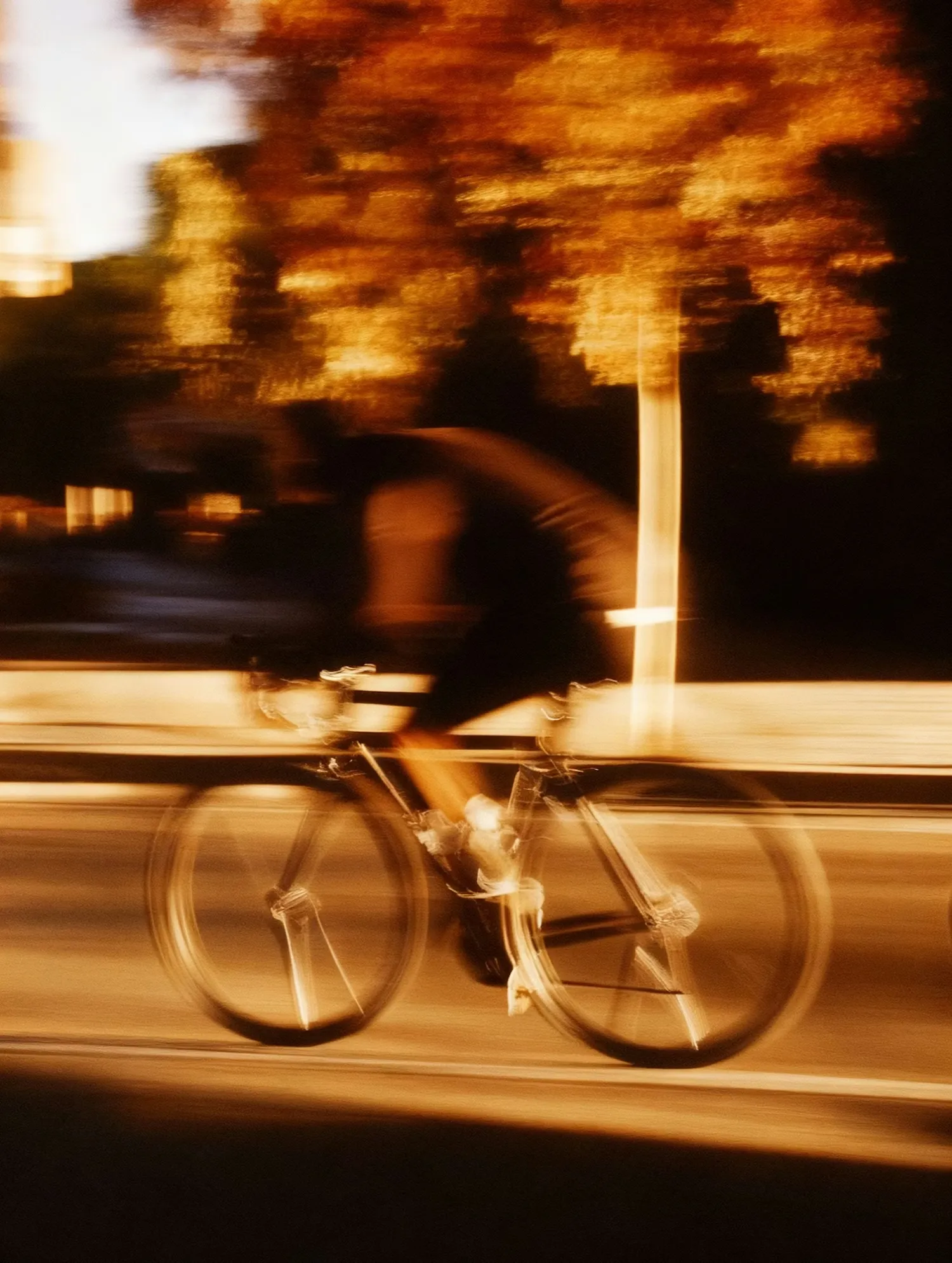 Cyclist in Motion