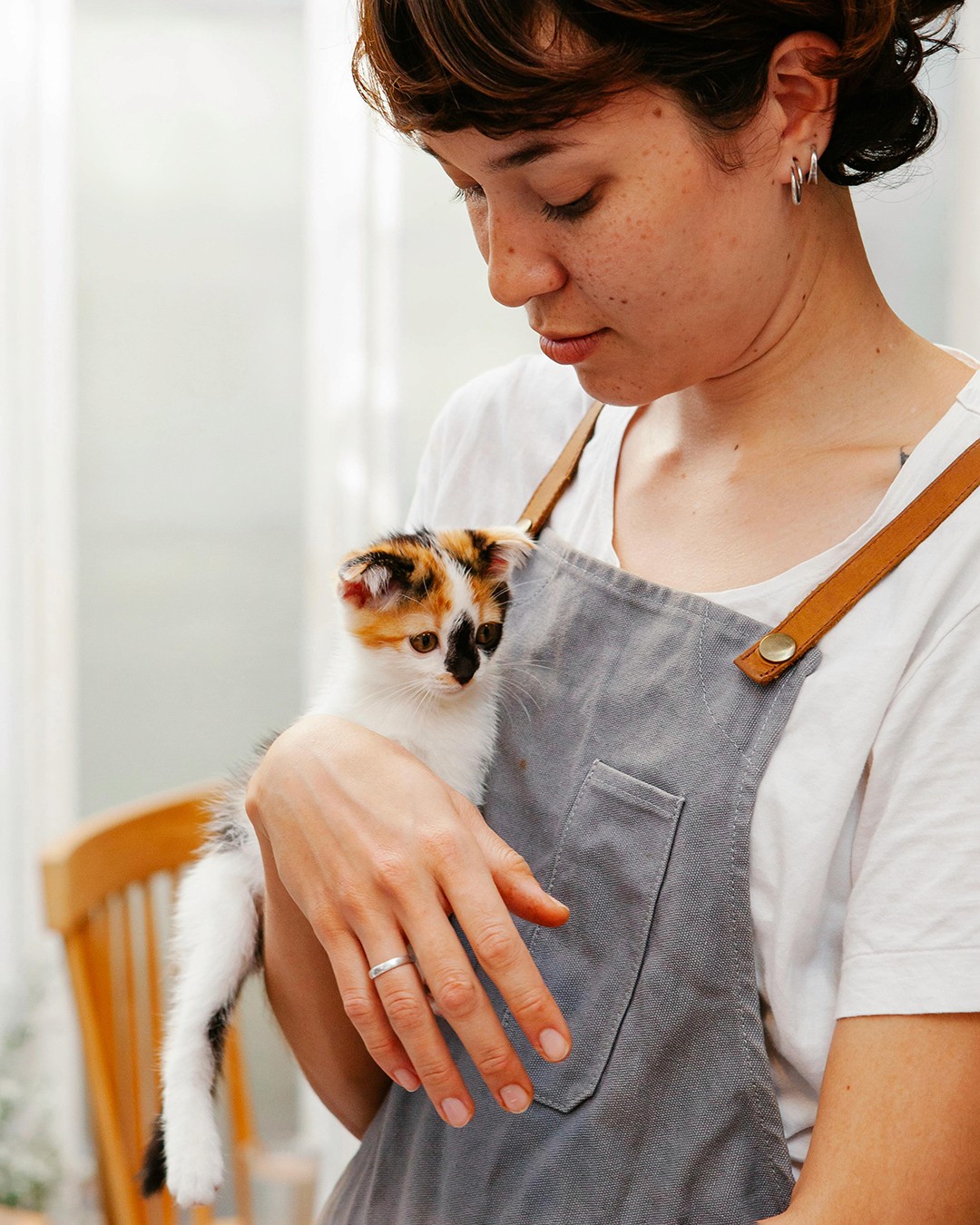 Meow and Mango brand photography