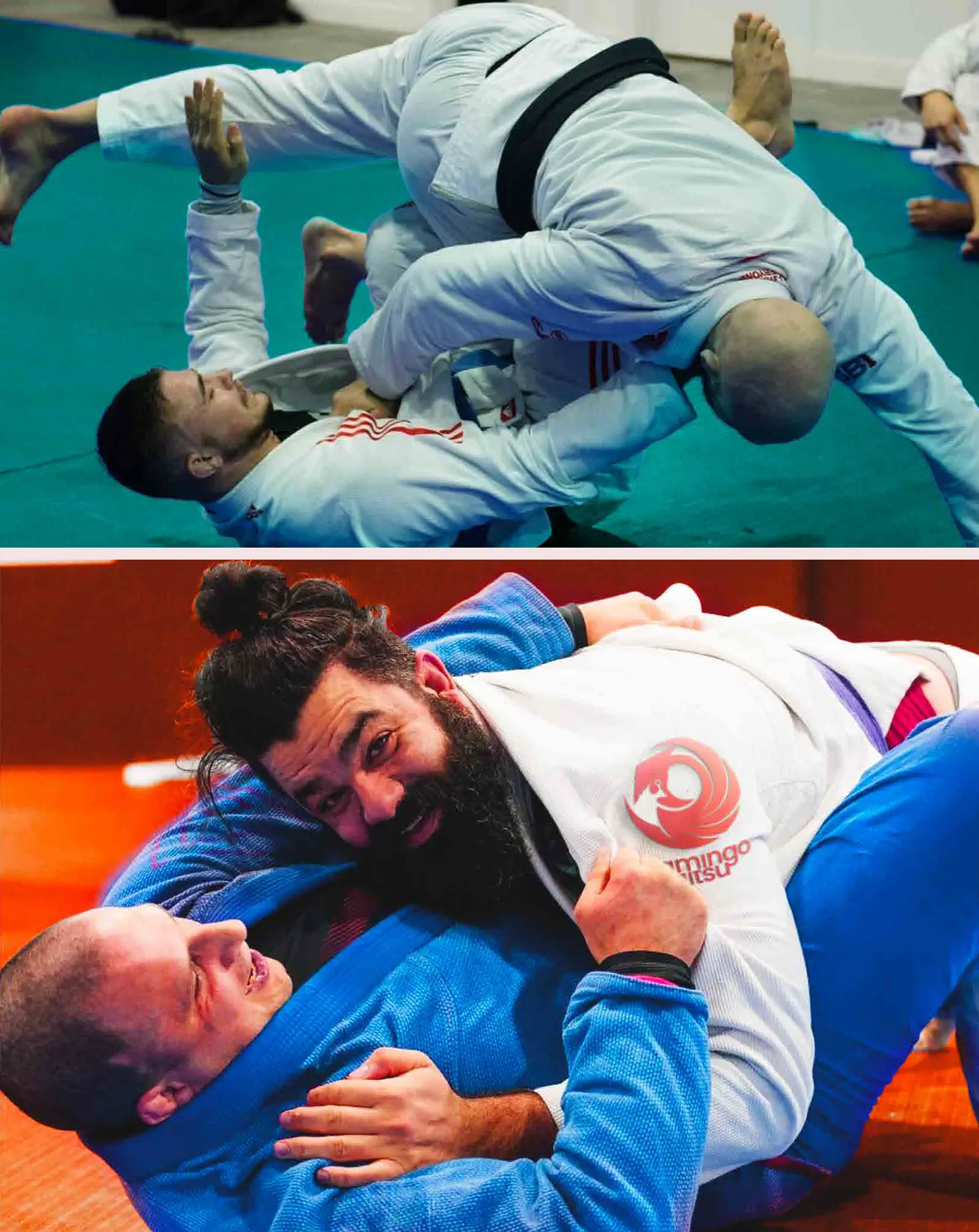 Project Gallery Image for 50% width of the screen #2