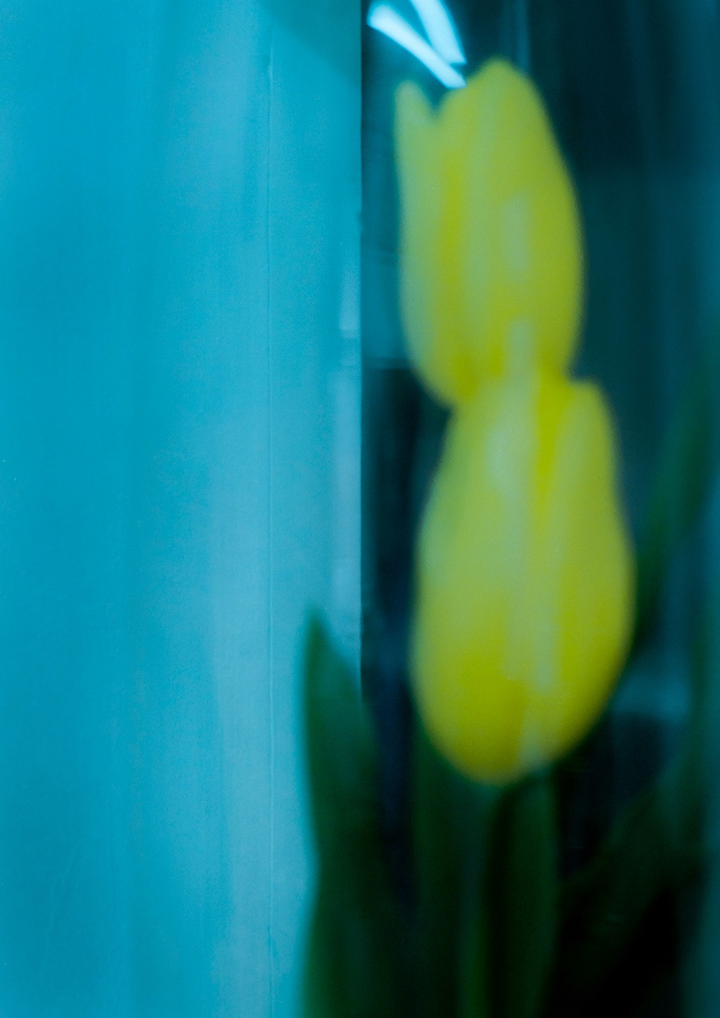 Taisei Matsumoto, 2023 exhibition work 004